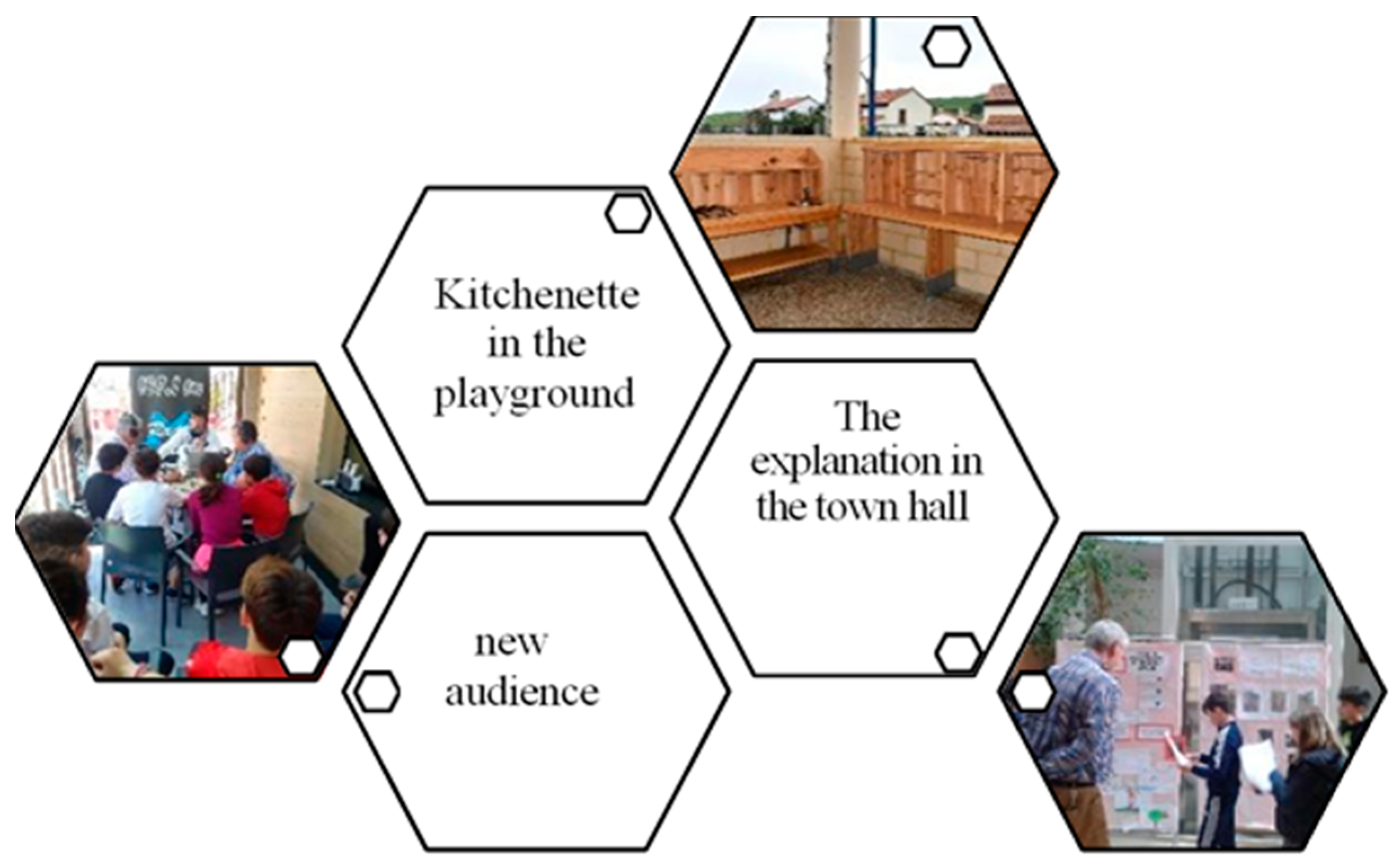 Socsci 13 00365 g006