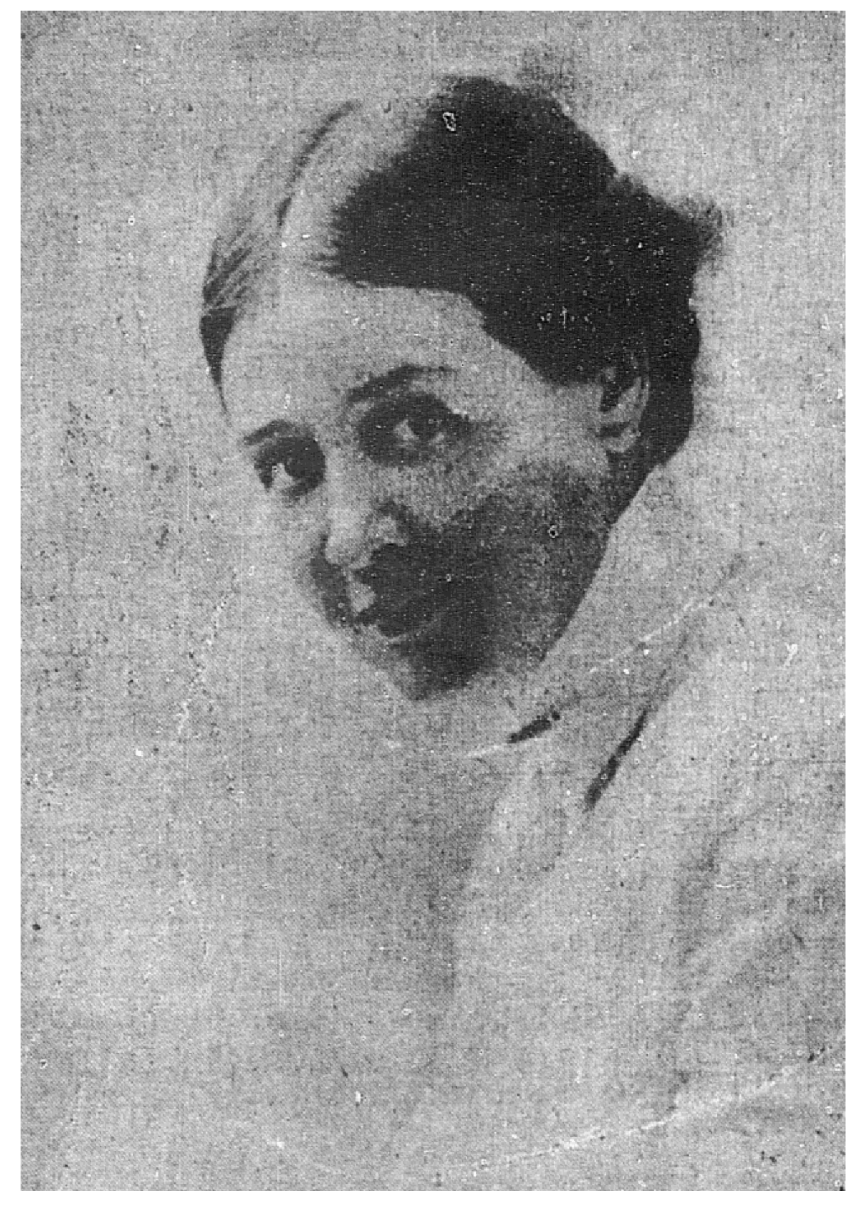 Socsci 13 00380 g002 Socsci 13 00380 g002