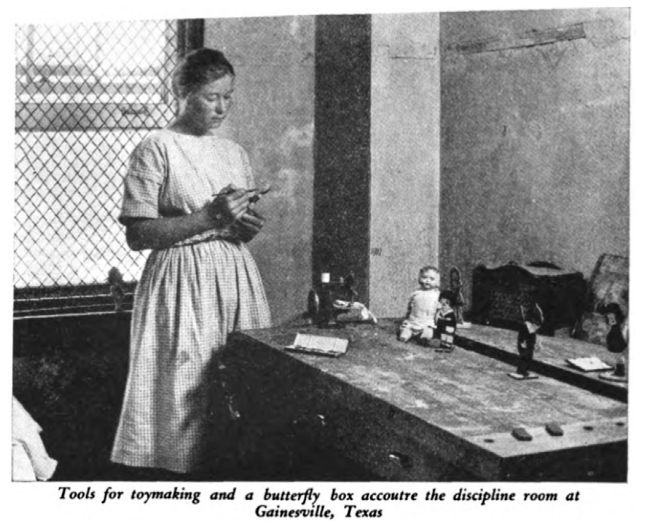 Socsci 13 00380 g004 Socsci 13 00380 g004