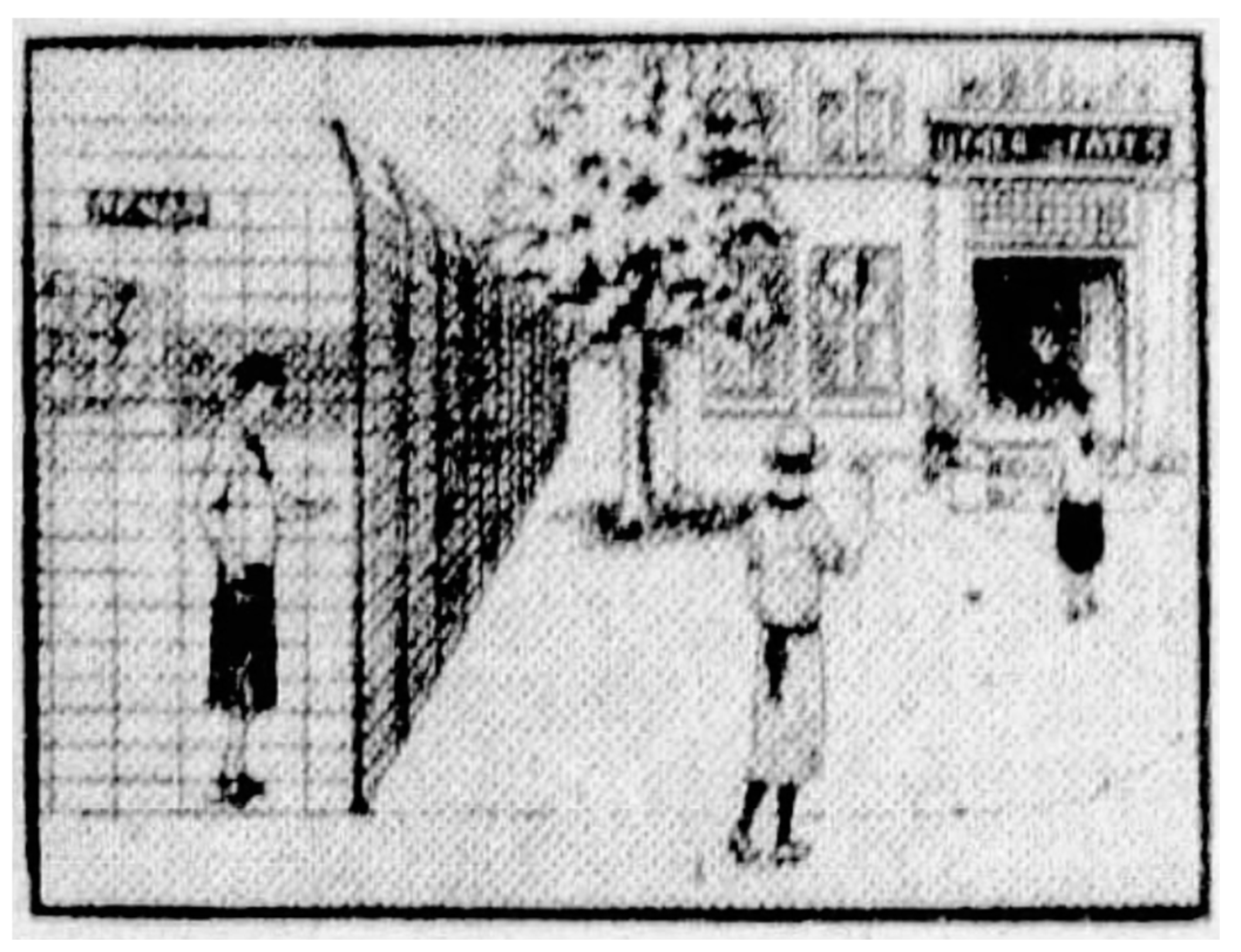 Socsci 13 00380 g005 Socsci 13 00380 g005