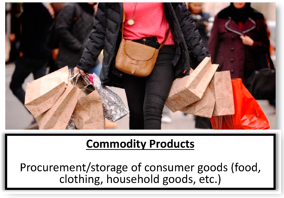 Socsci 13 00404 i001