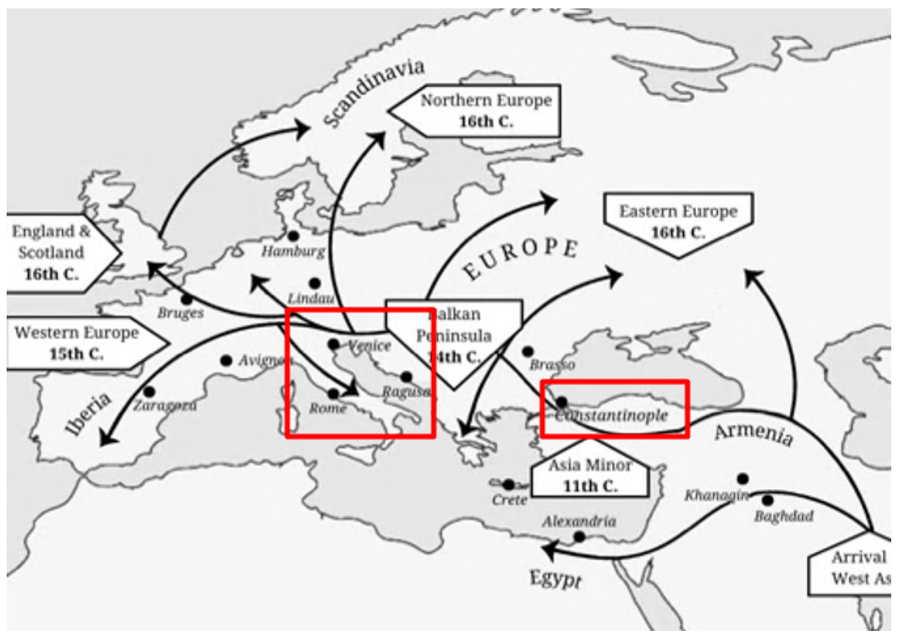 Socsci 13 00476 g001