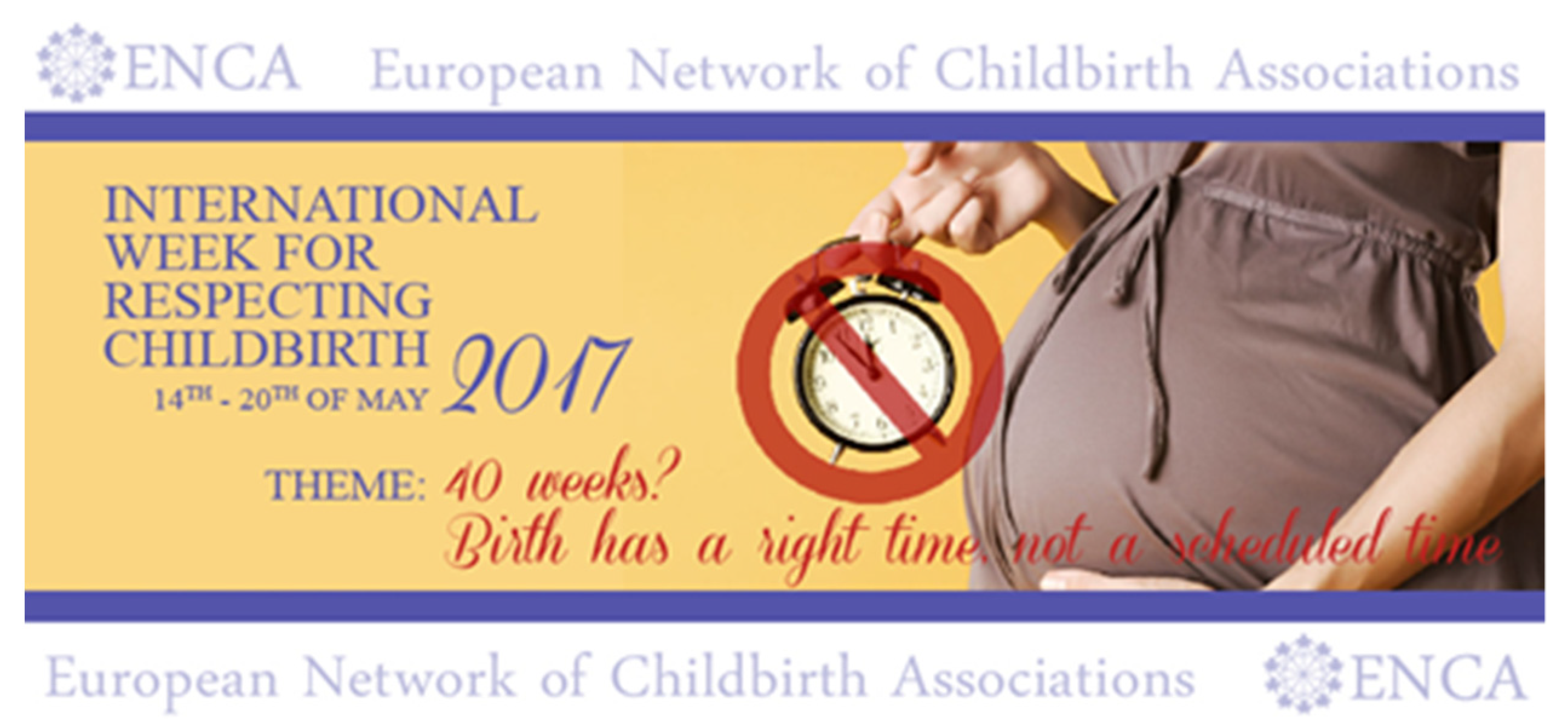 Socsci 13 00490 g002