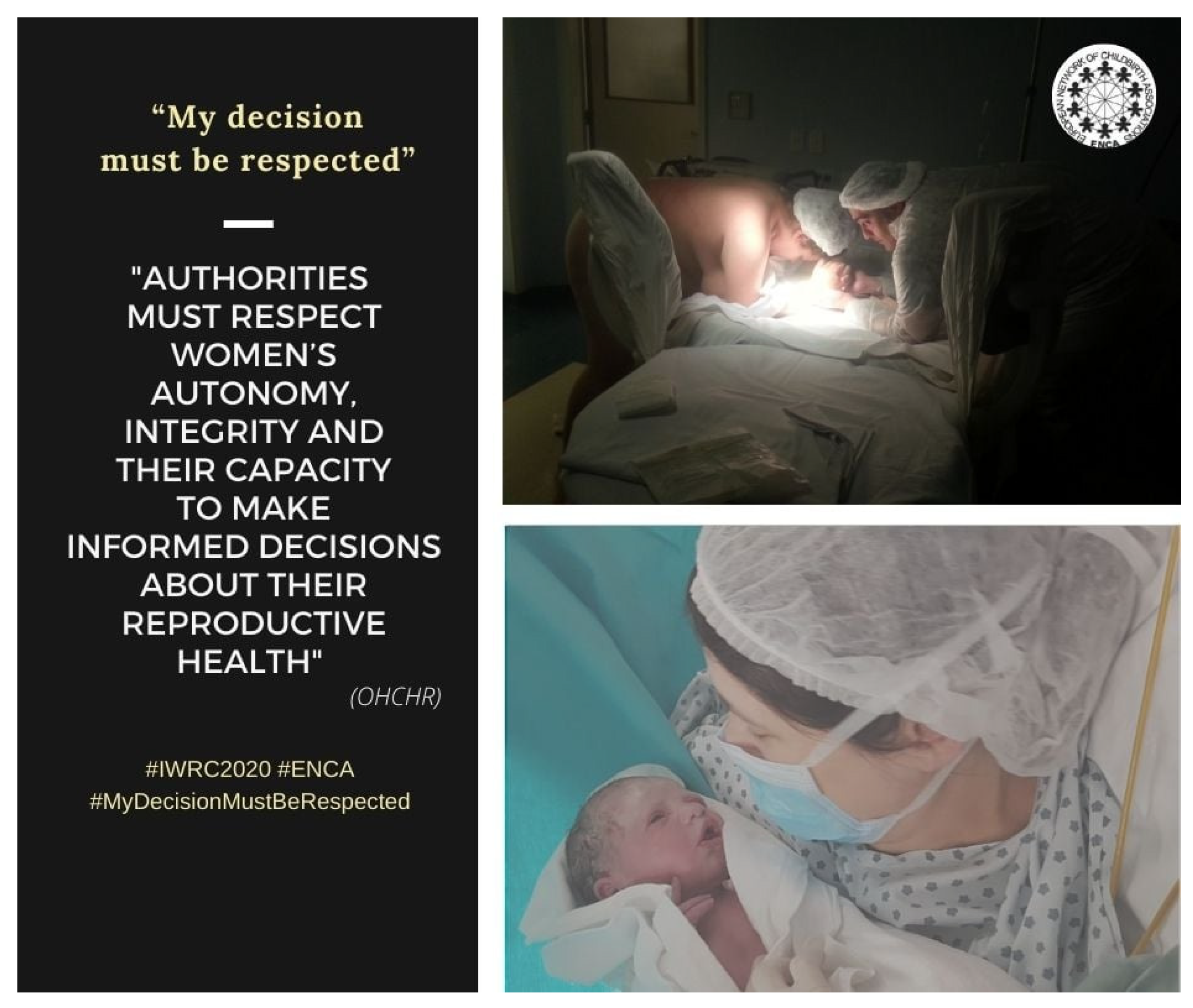 Socsci 13 00490 g004