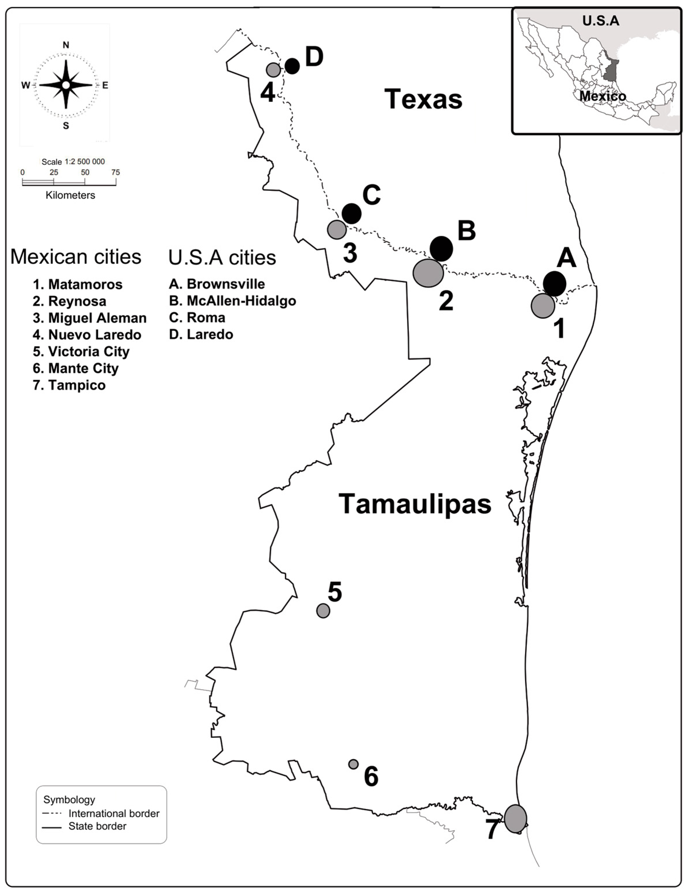 Socsci 13 00532 g001