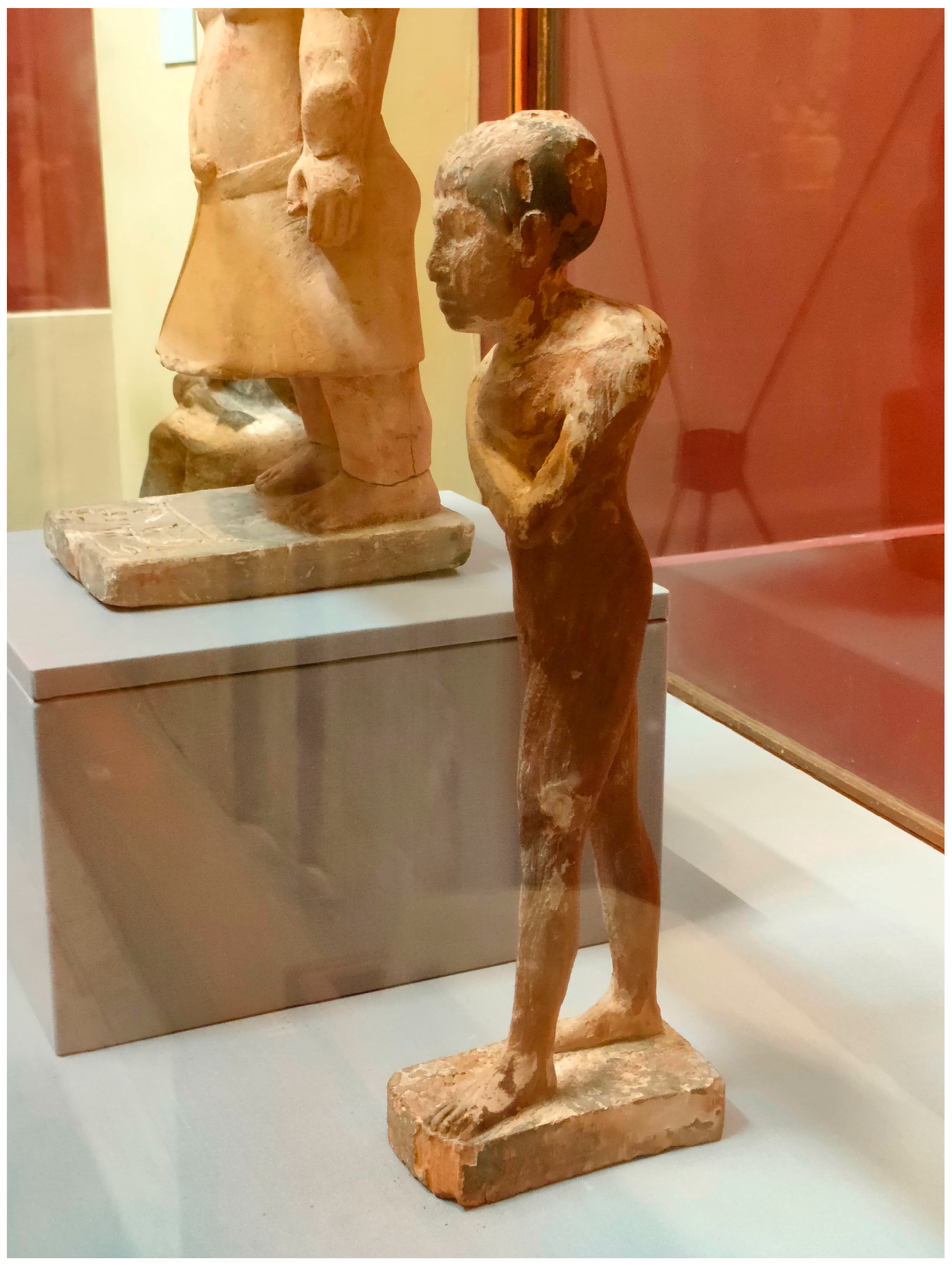 Socsci 13 00647 g005