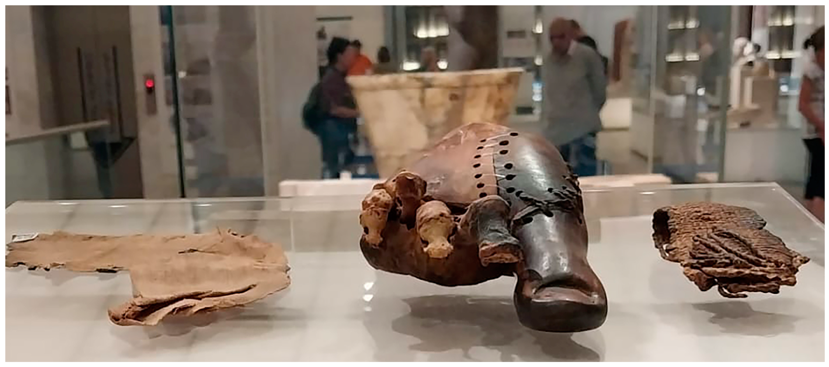 Socsci 13 00647 g006