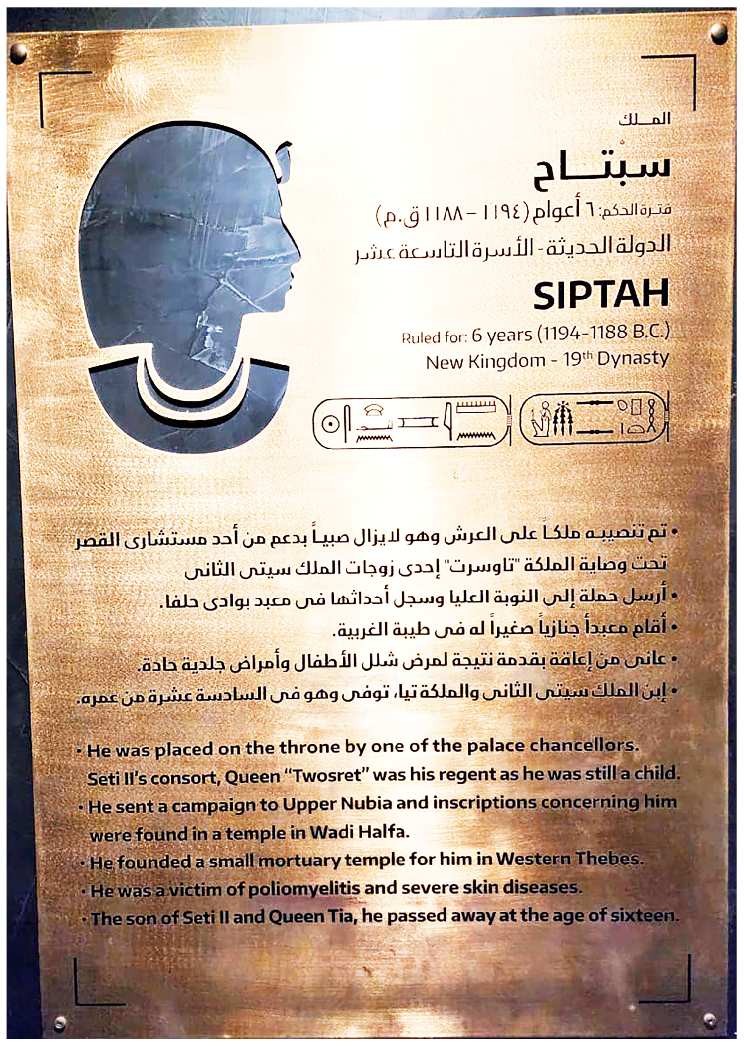 Socsci 13 00647 g009