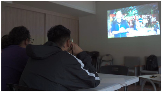 Socsci 13 00671 g011