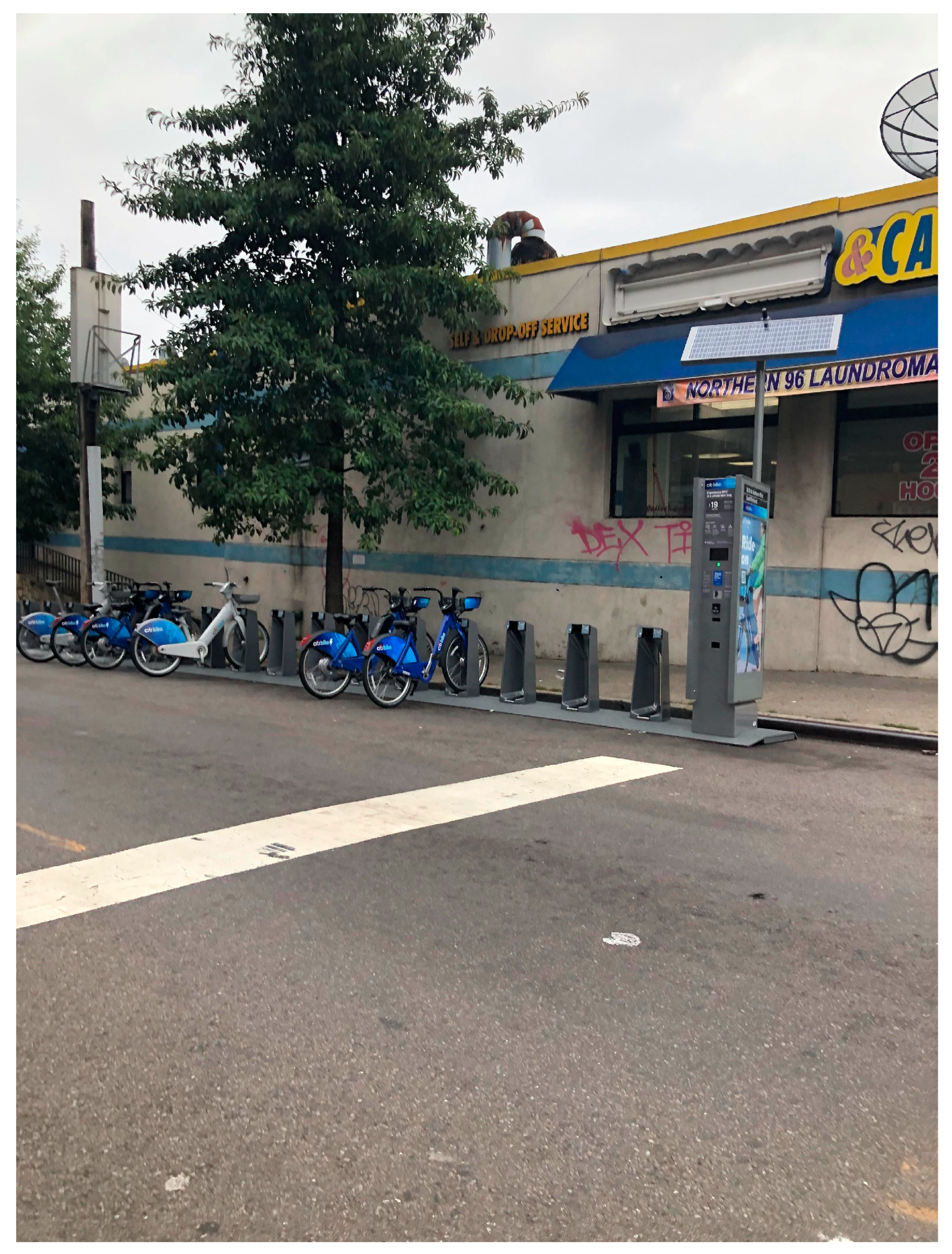 Socsci 14 00013 g007