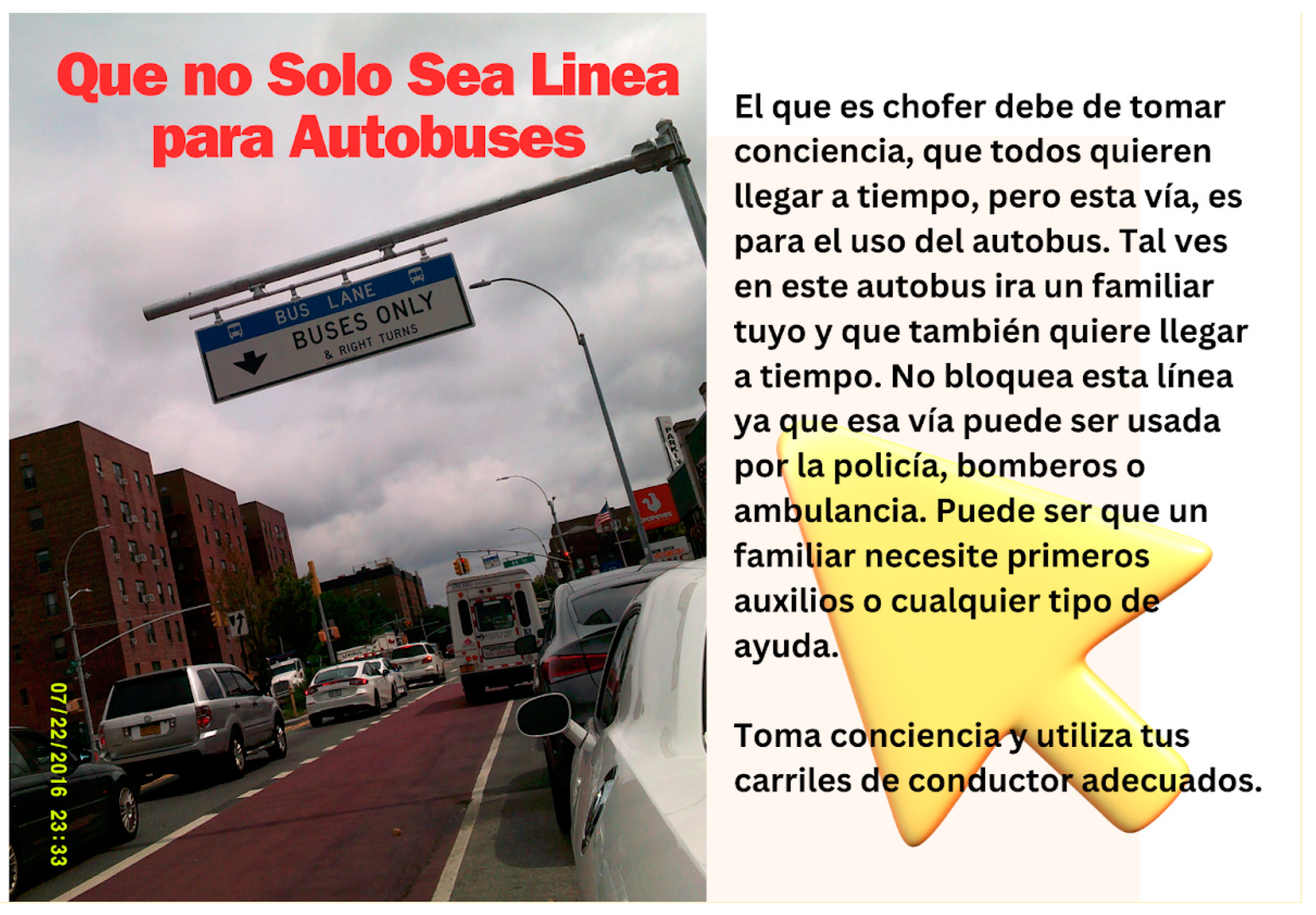 Socsci 14 00013 g008