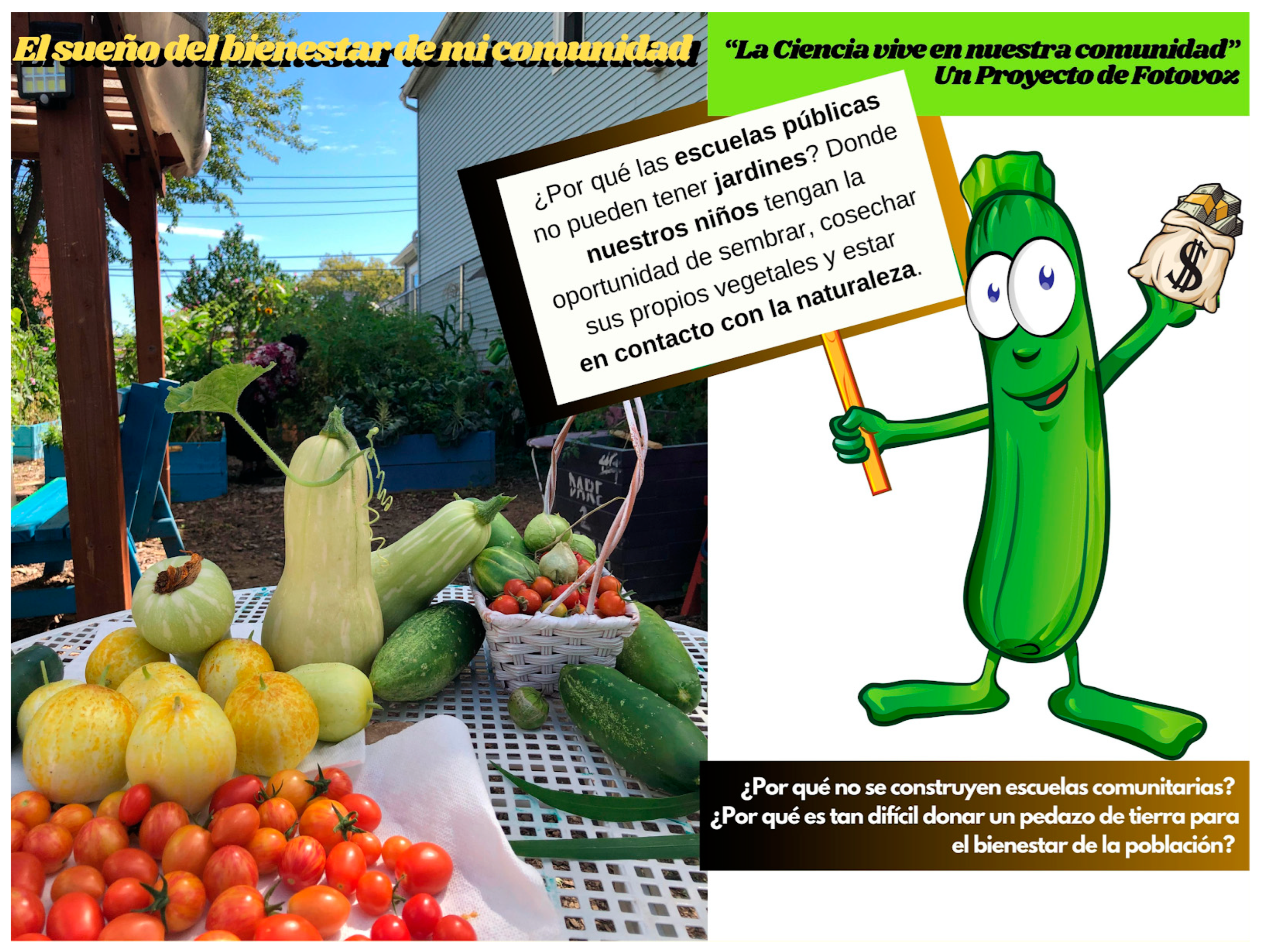 Socsci 14 00013 g010