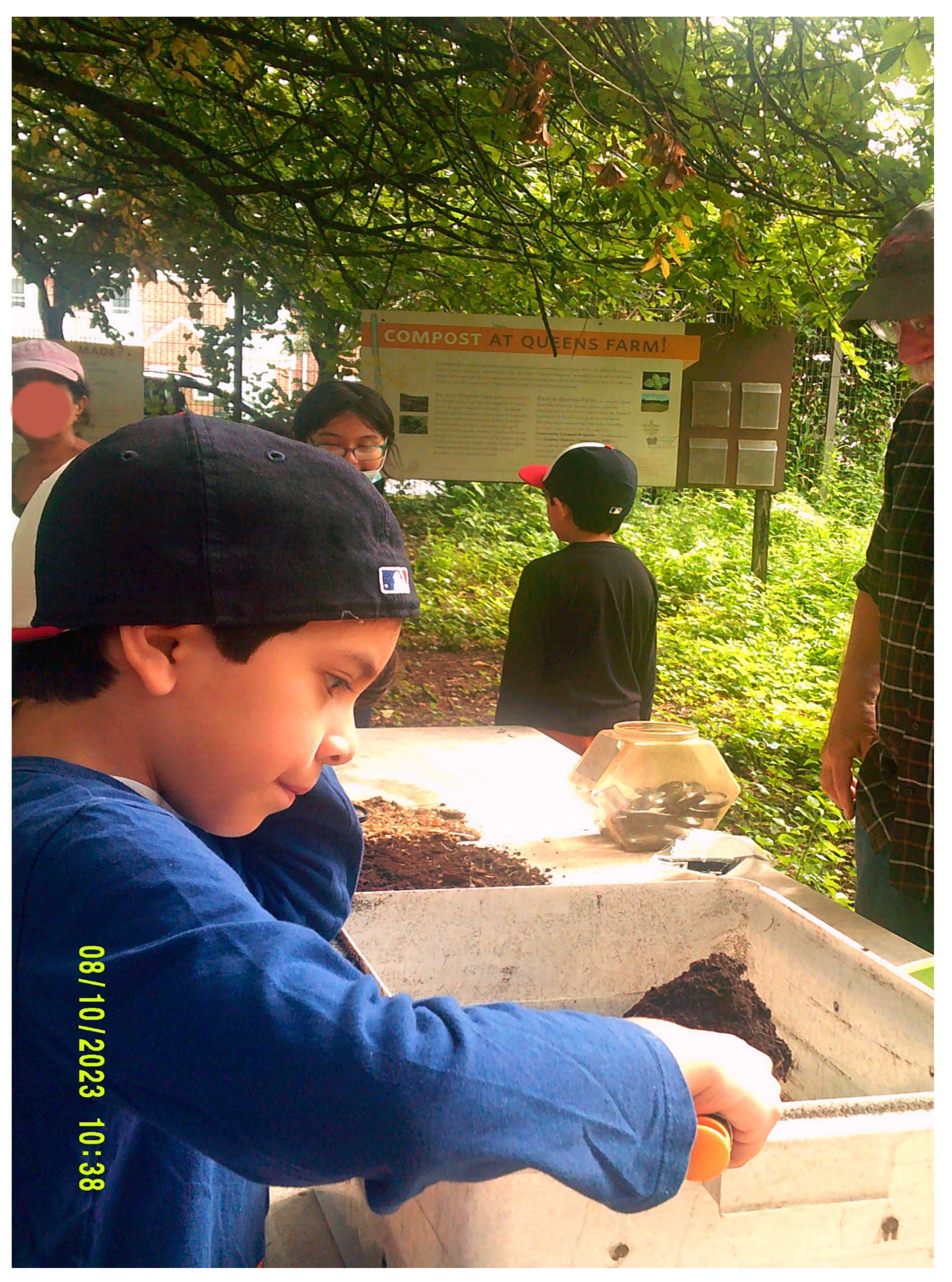 Socsci 14 00013 g011