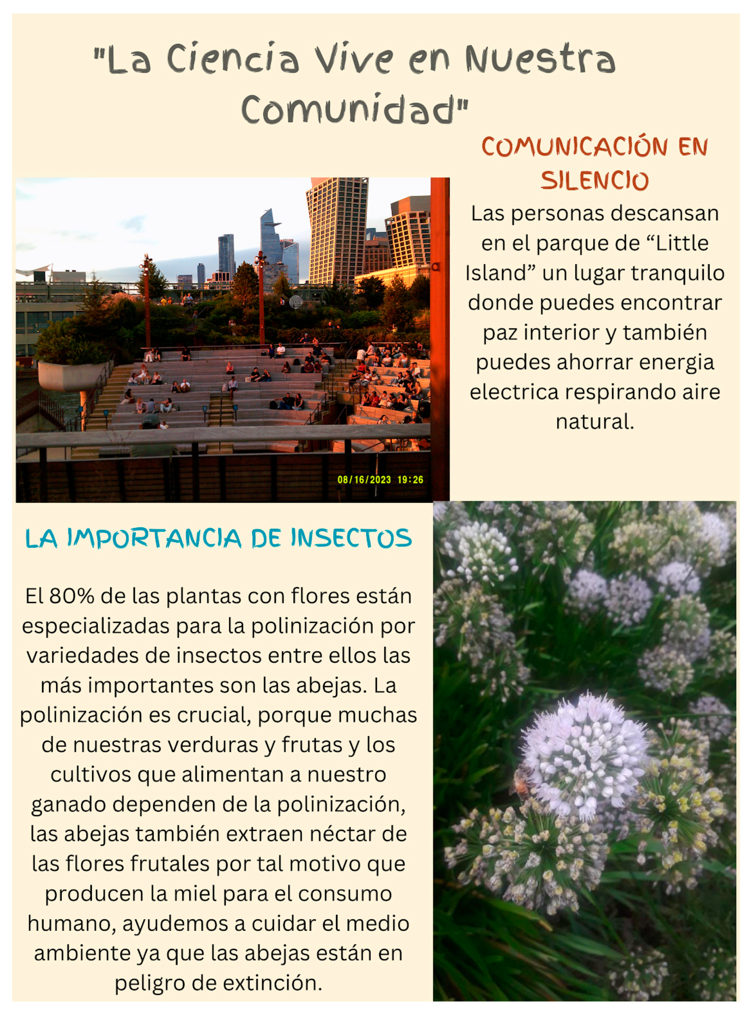 Socsci 14 00013 g012