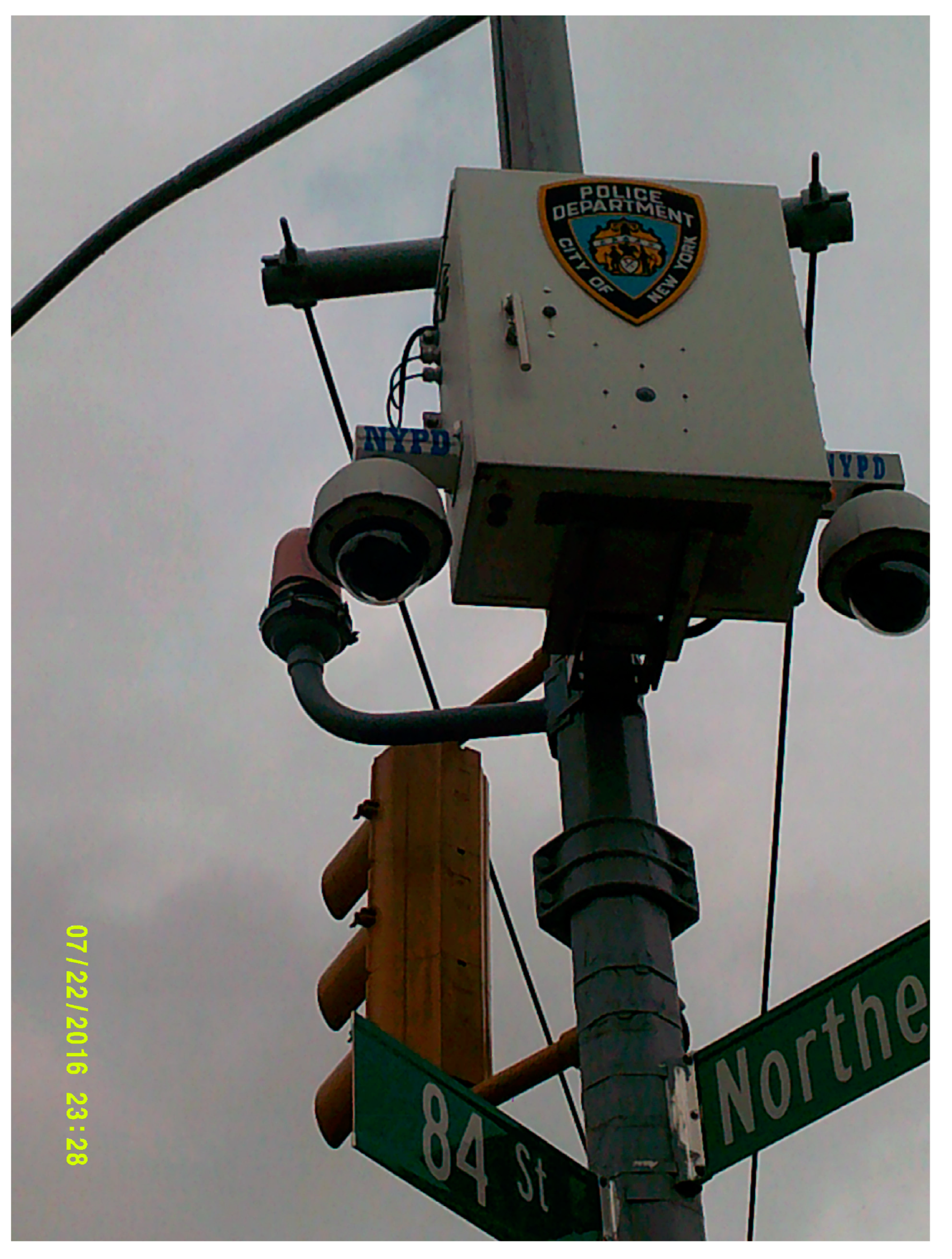 Socsci 14 00013 g013