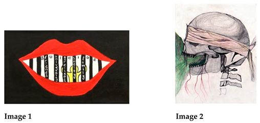 Socsci 14 00062 i001