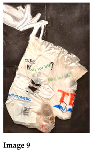 Socsci 14 00062 i006