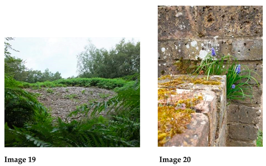 Socsci 14 00062 i012