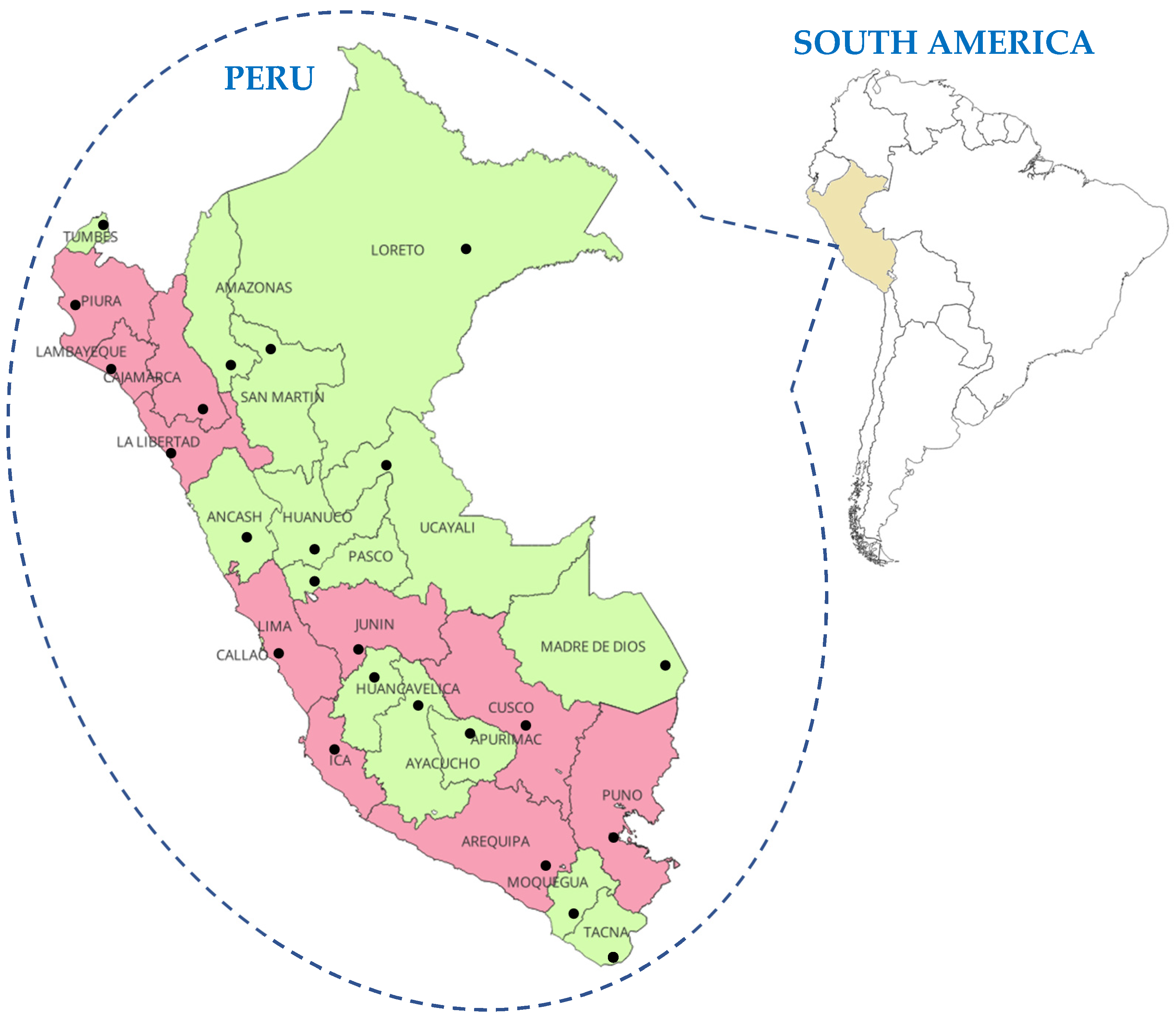 Socsci 14 00076 g001