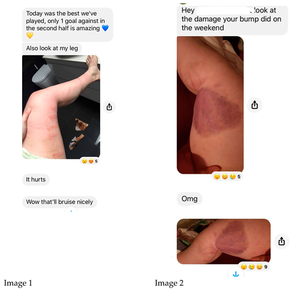 Socsci 14 00087 i001