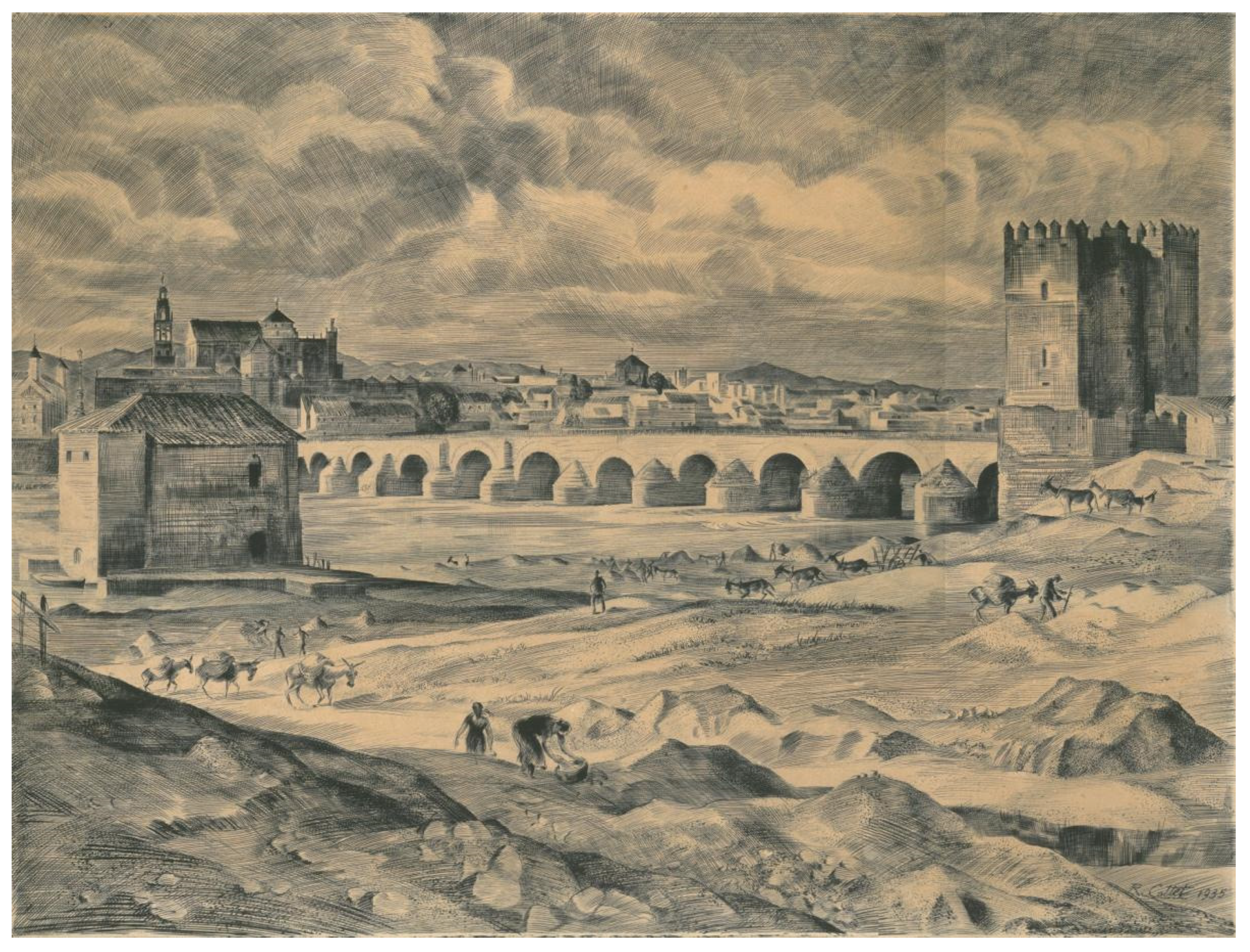 Socsci 14 00099 g002