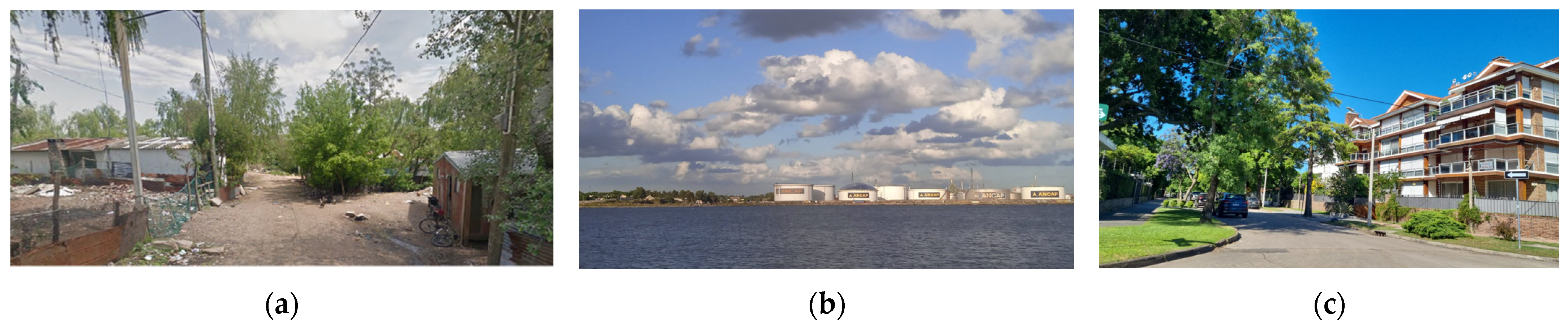 Socsci 14 00150 g003