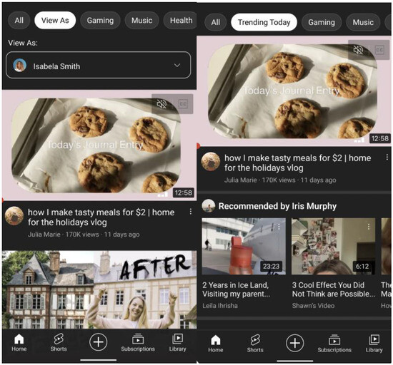 Socsci 14 00230 g010