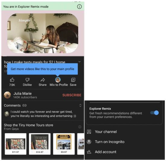 Socsci 14 00230 g011