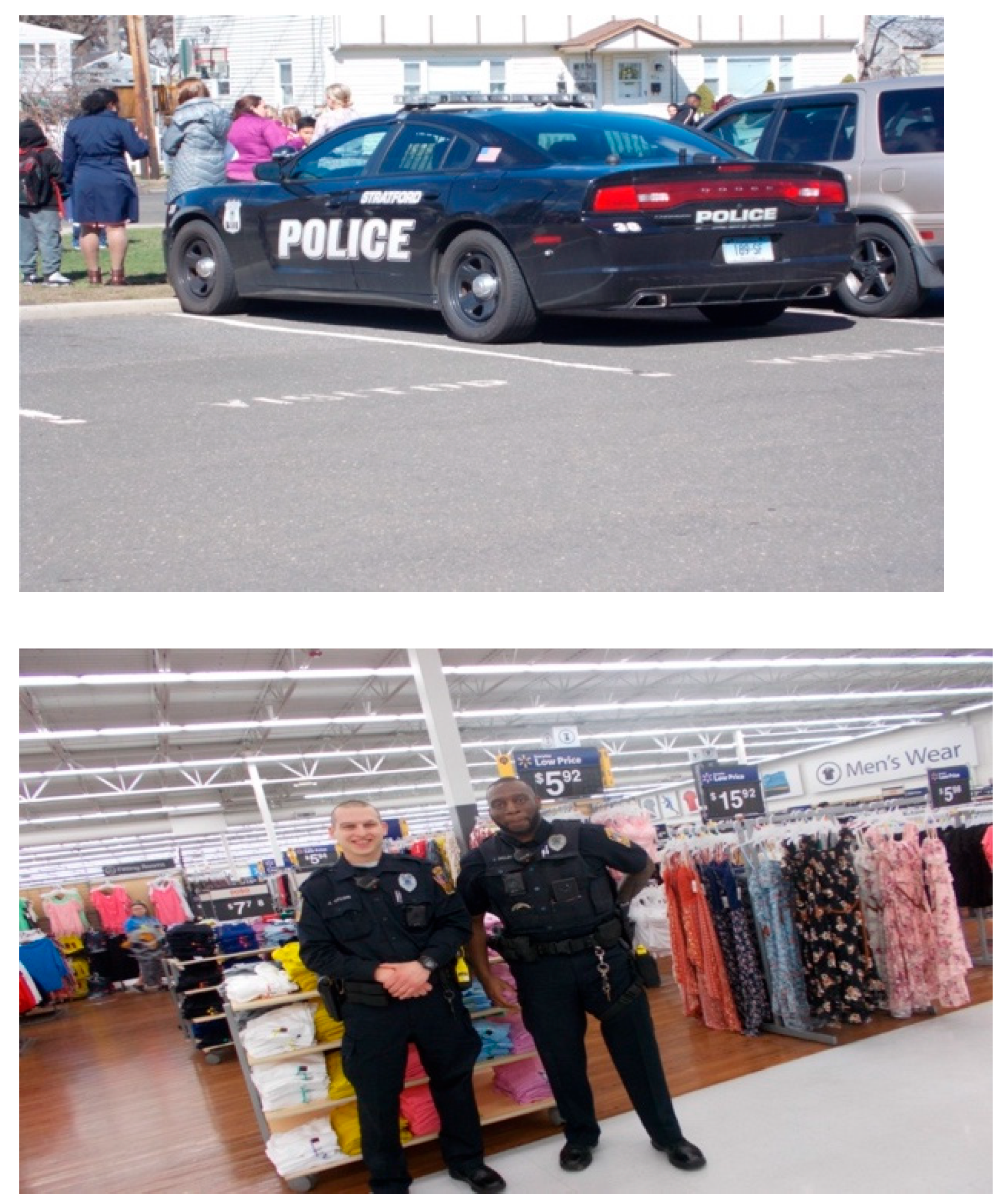 Socsci 14 00411 g004