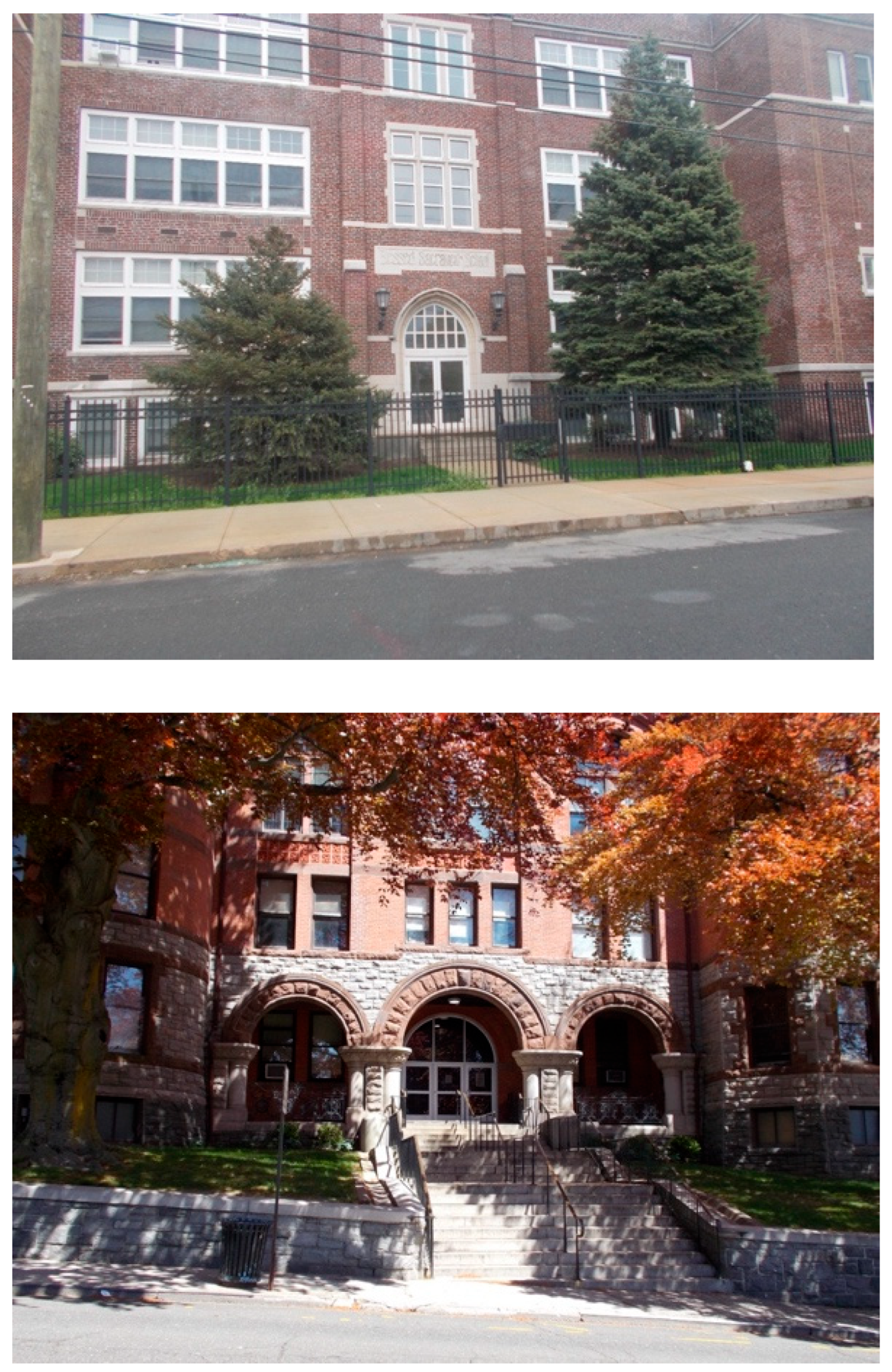 Socsci 14 00411 g006