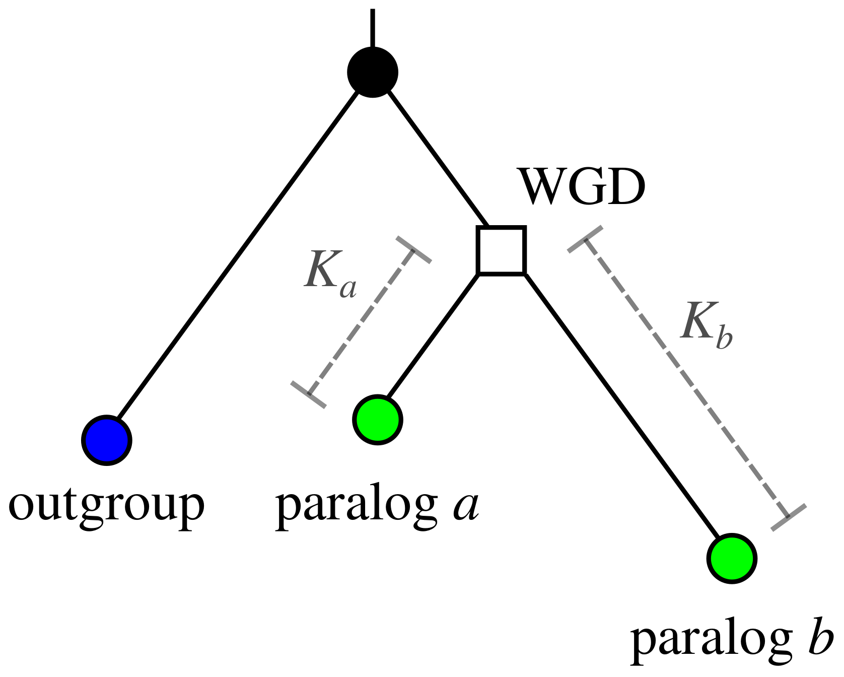 Software 01 00013 g003 Software 01 00013 g003