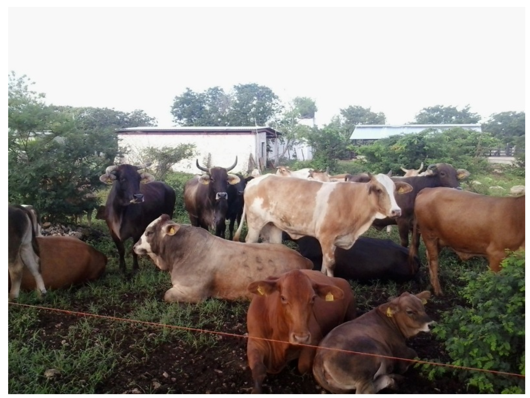 Soilsystems 02 00024 g001