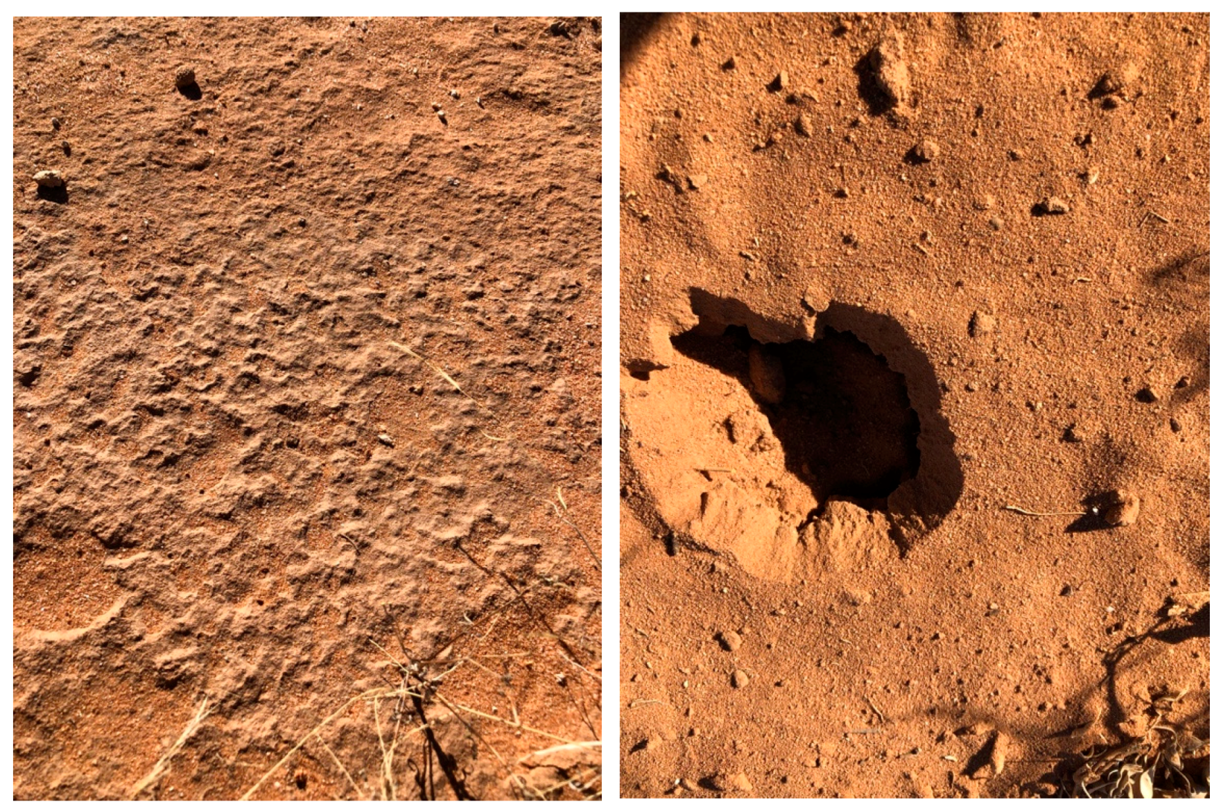 Soilsystems 02 00056 g001