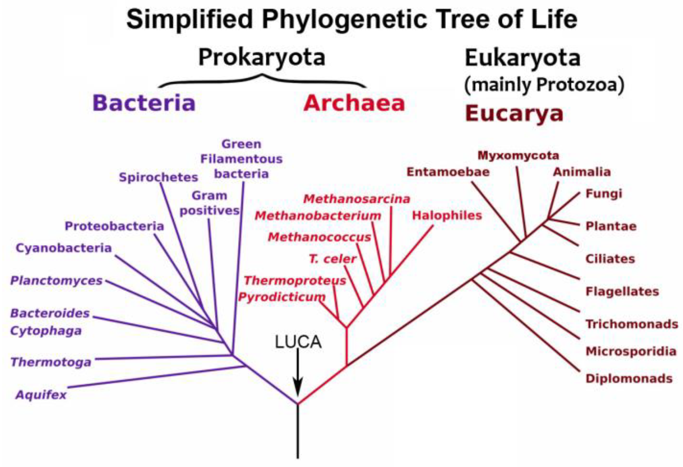 Soilsystems 02 00064 g013