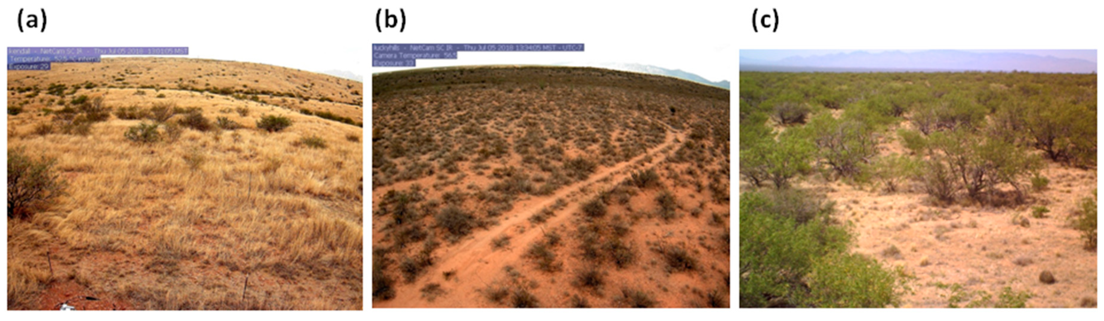 Soilsystems 03 00006 g001