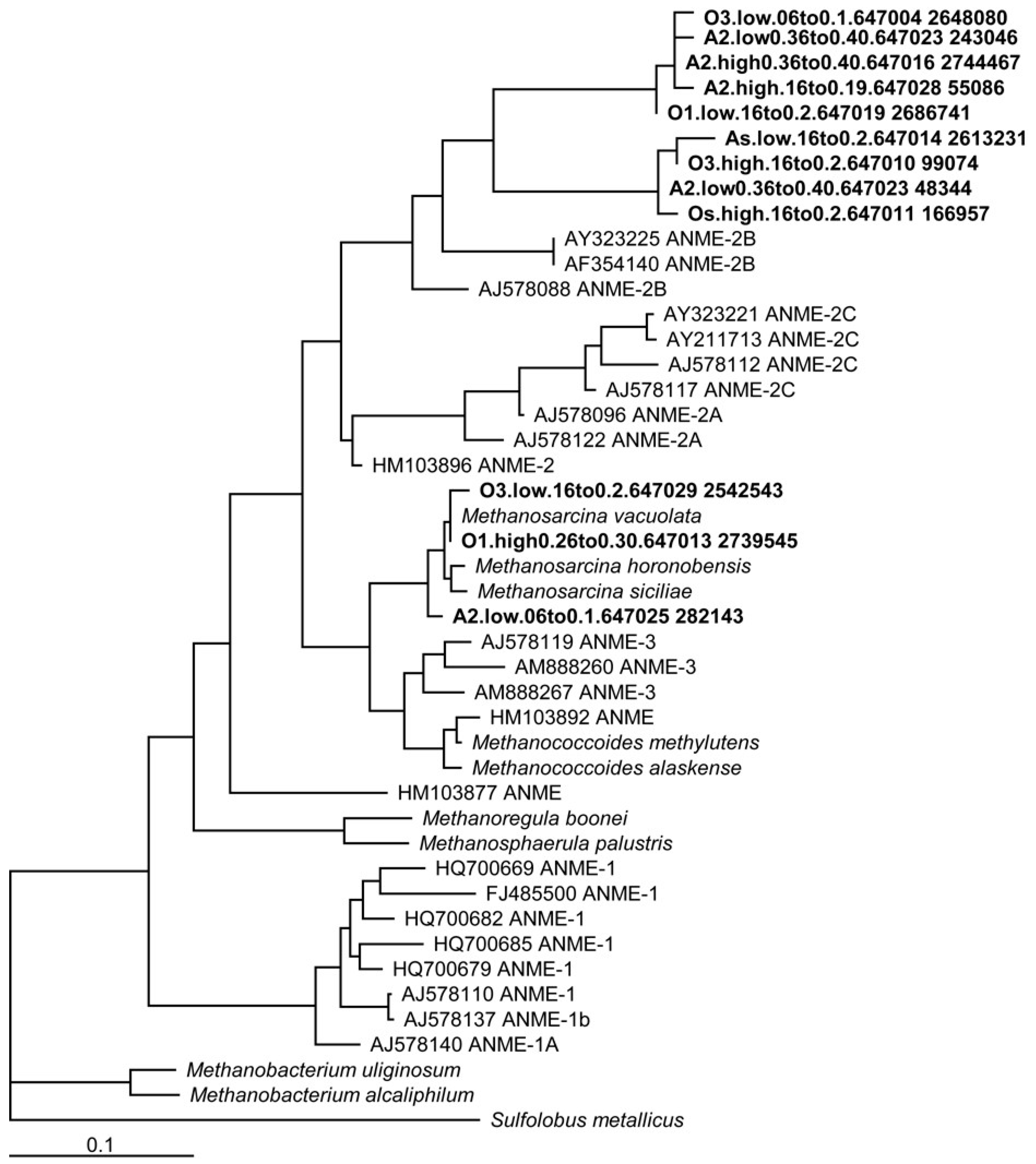 Soilsystems 03 00007 g001