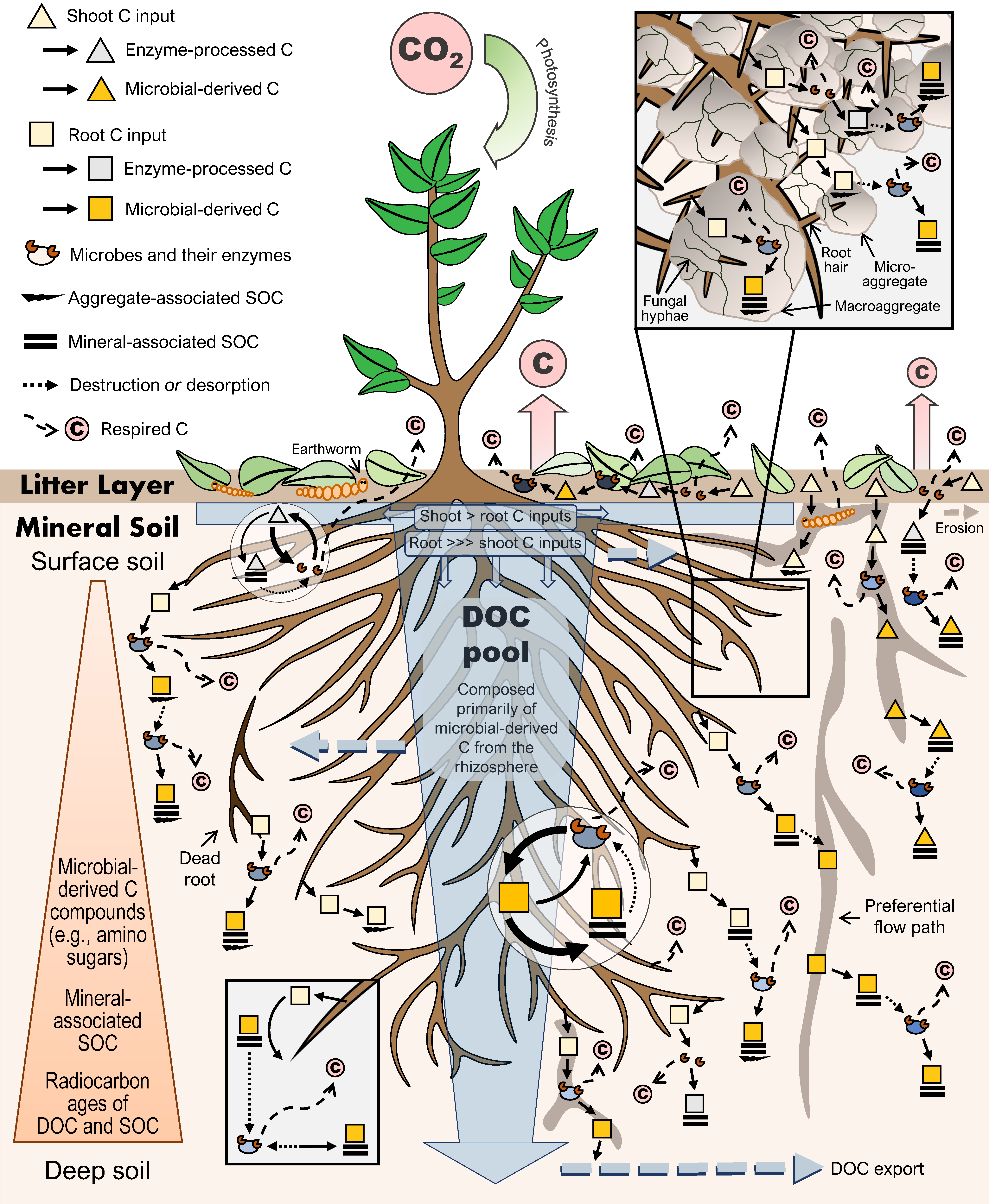 Soilsystems 03 00028 g001