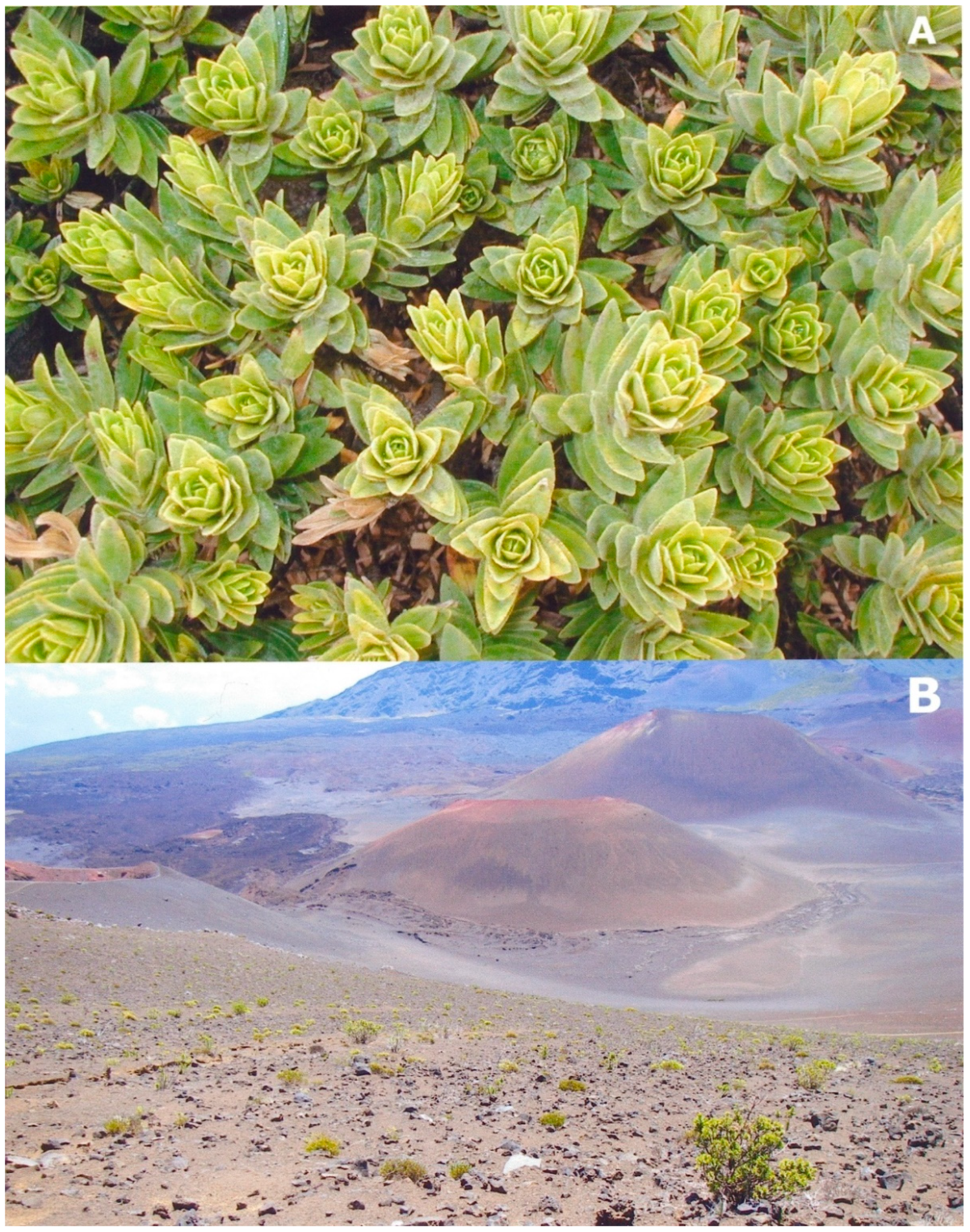 Soilsystems 03 00031 g001