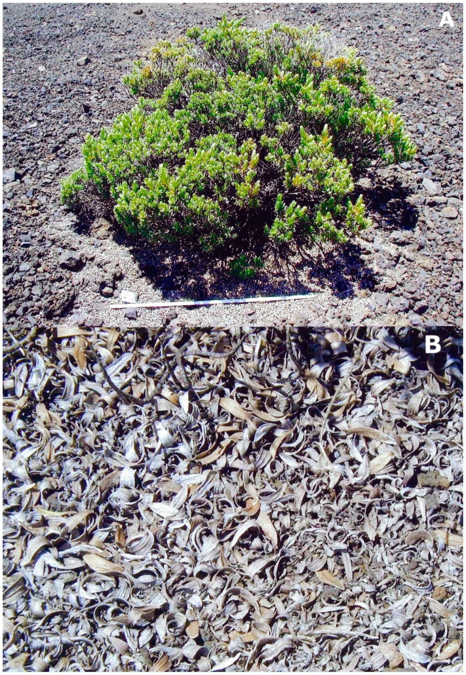 Soilsystems 03 00031 g004