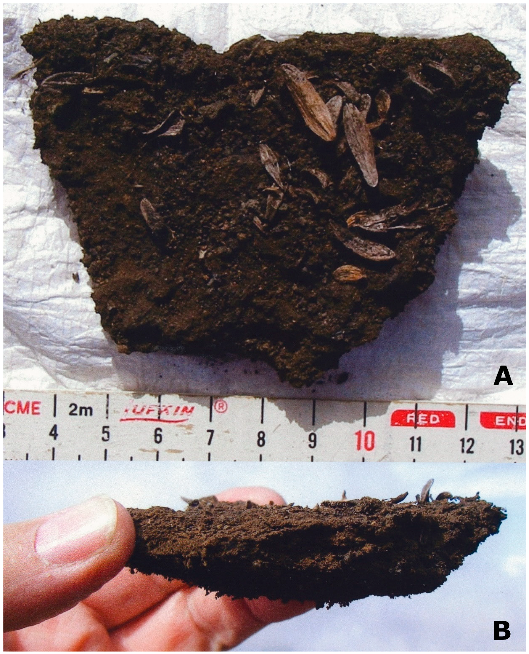 Soilsystems 03 00031 g005