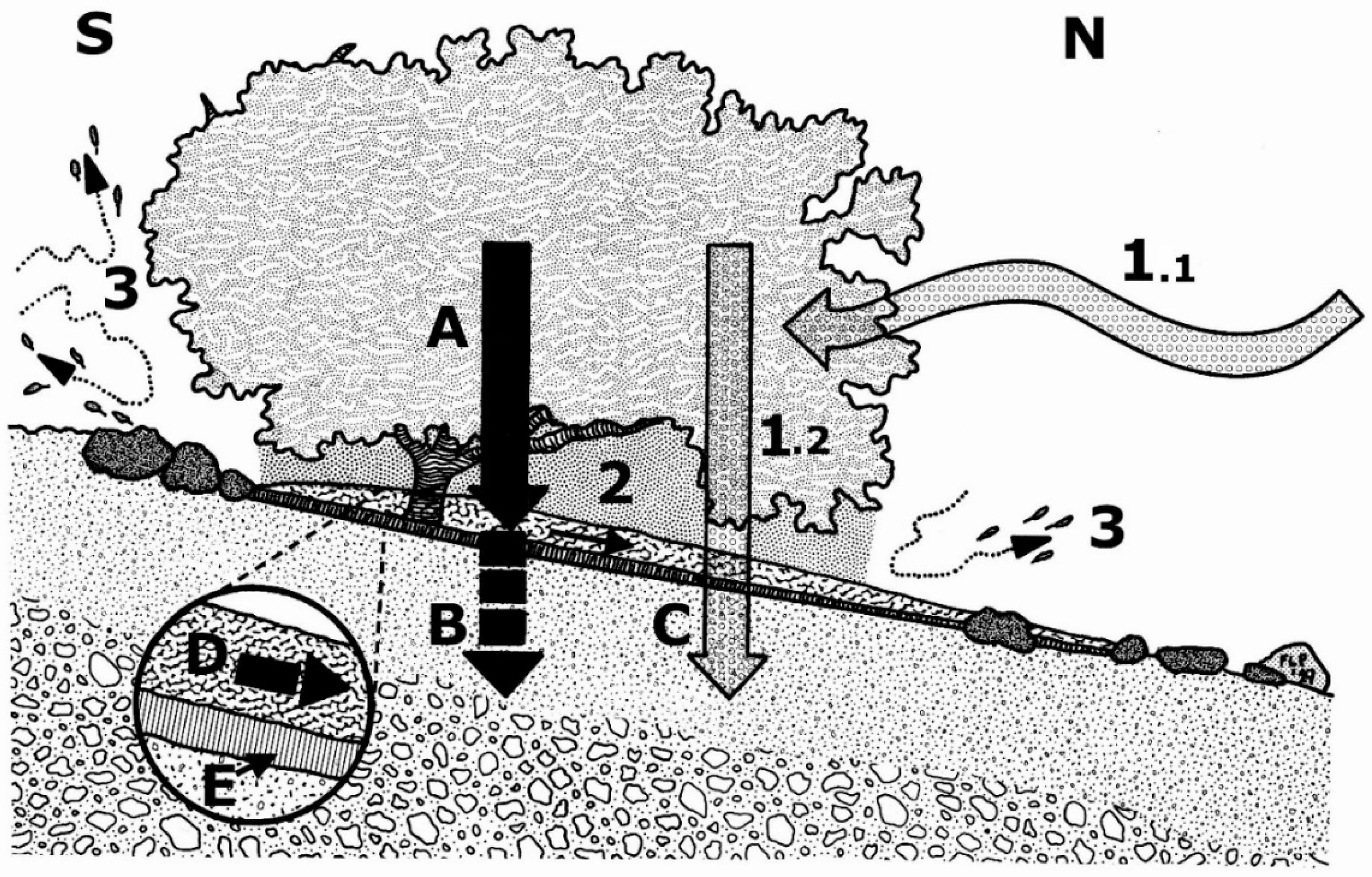 Soilsystems 03 00031 g012