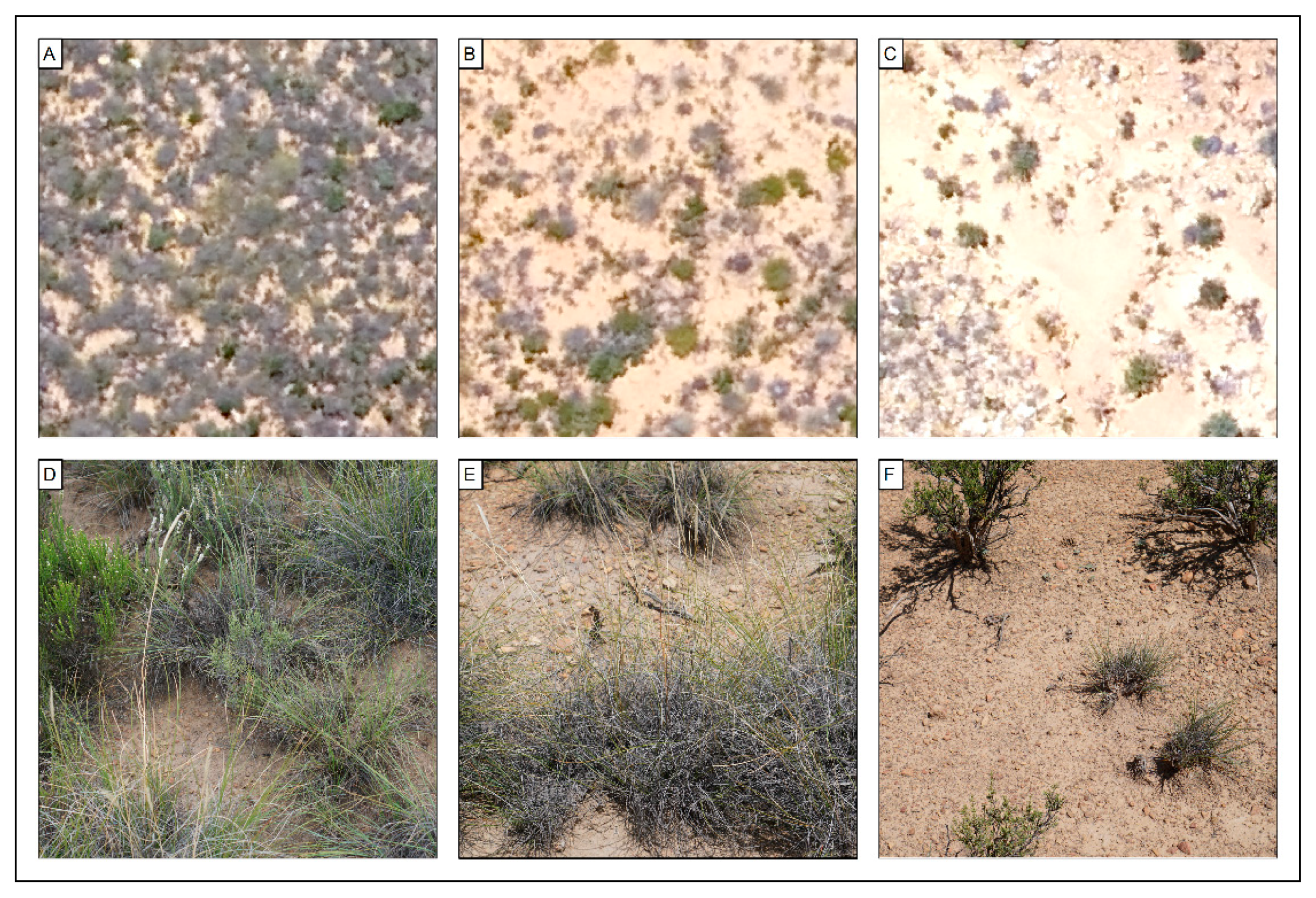 Soilsystems 03 00033 g005