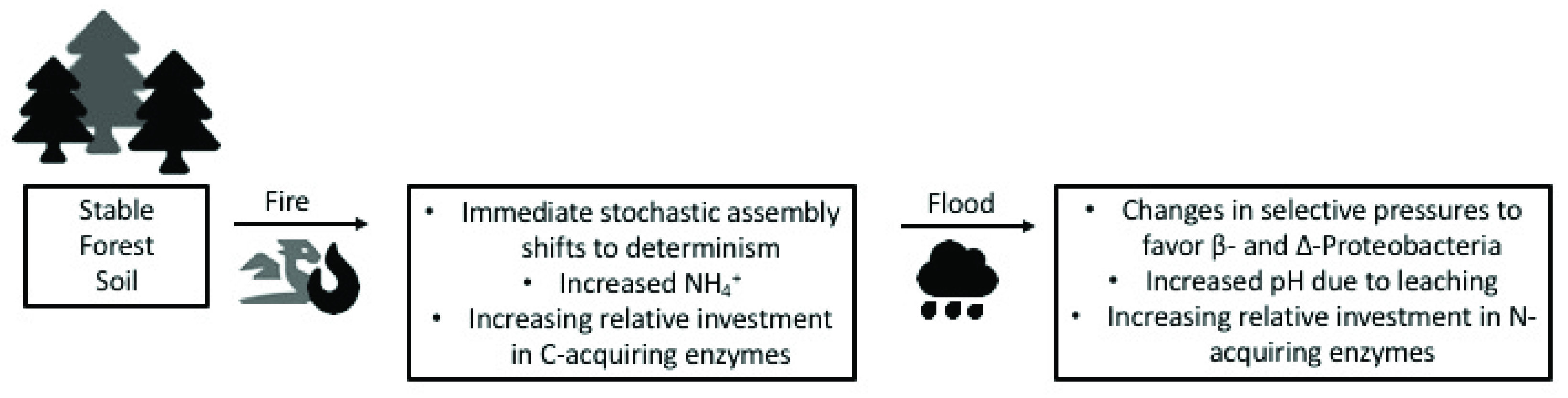 Soilsystems 03 00040 g003