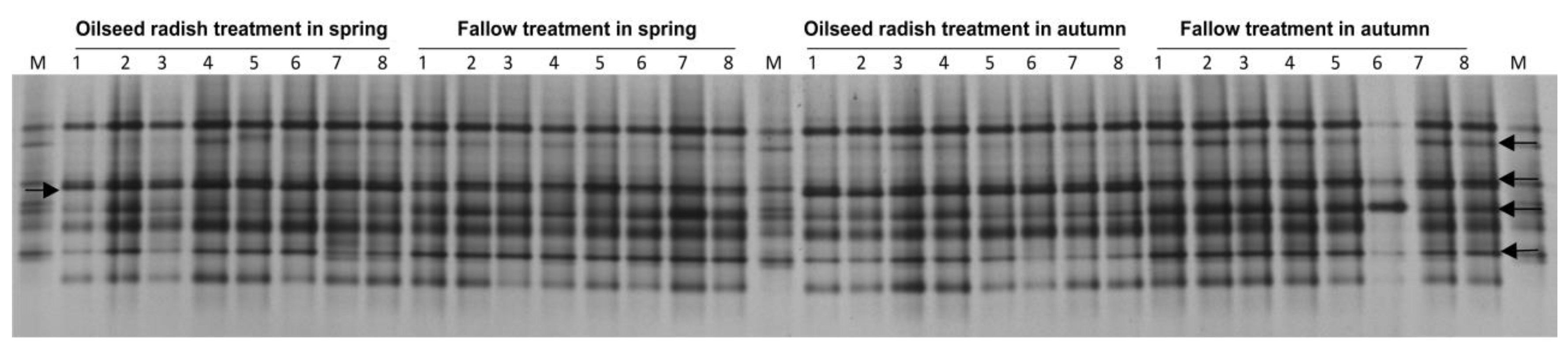 Soilsystems 03 00067 g003 Soilsystems 03 00067 g003