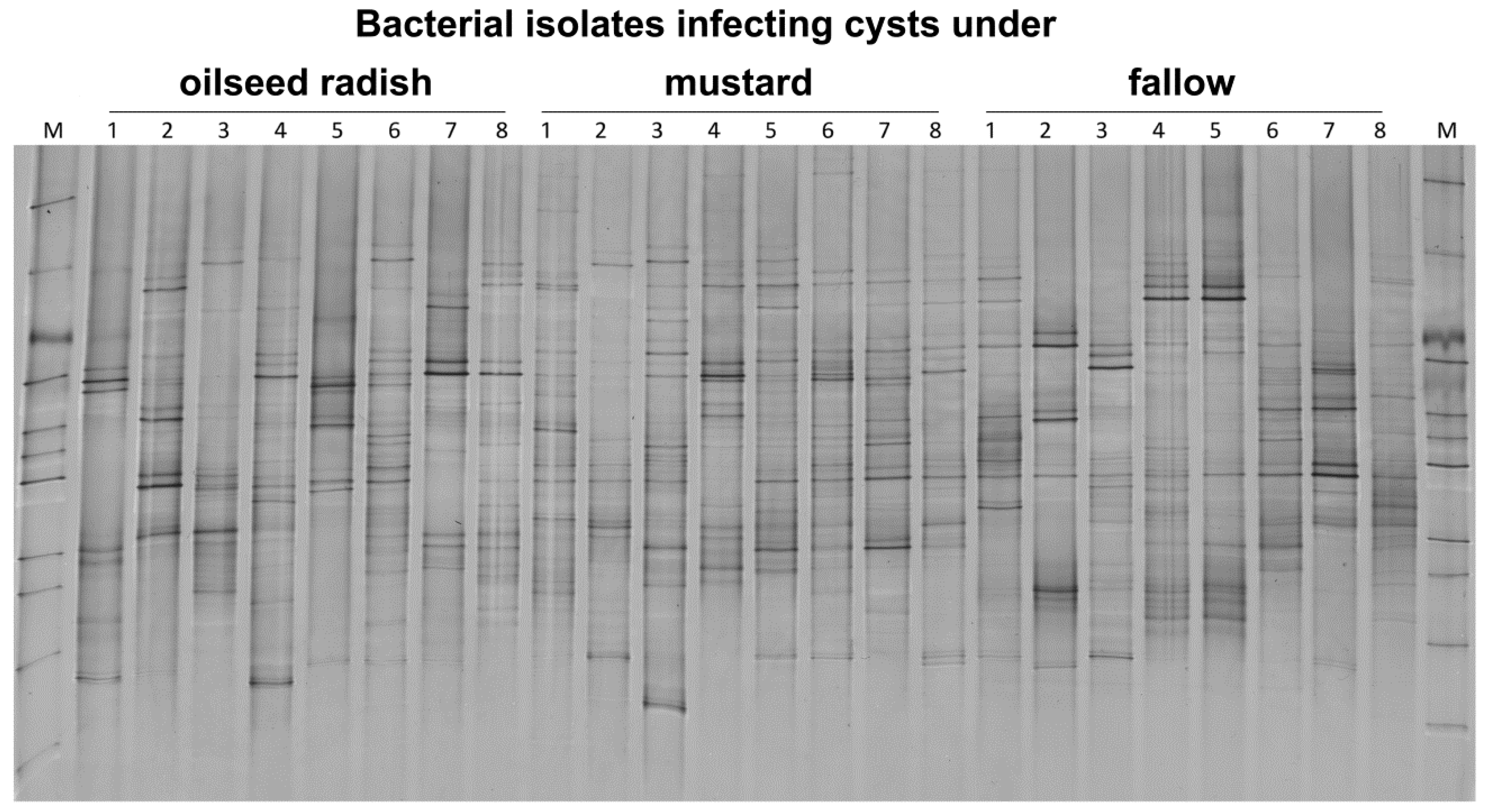 Soilsystems 03 00067 g005 Soilsystems 03 00067 g005