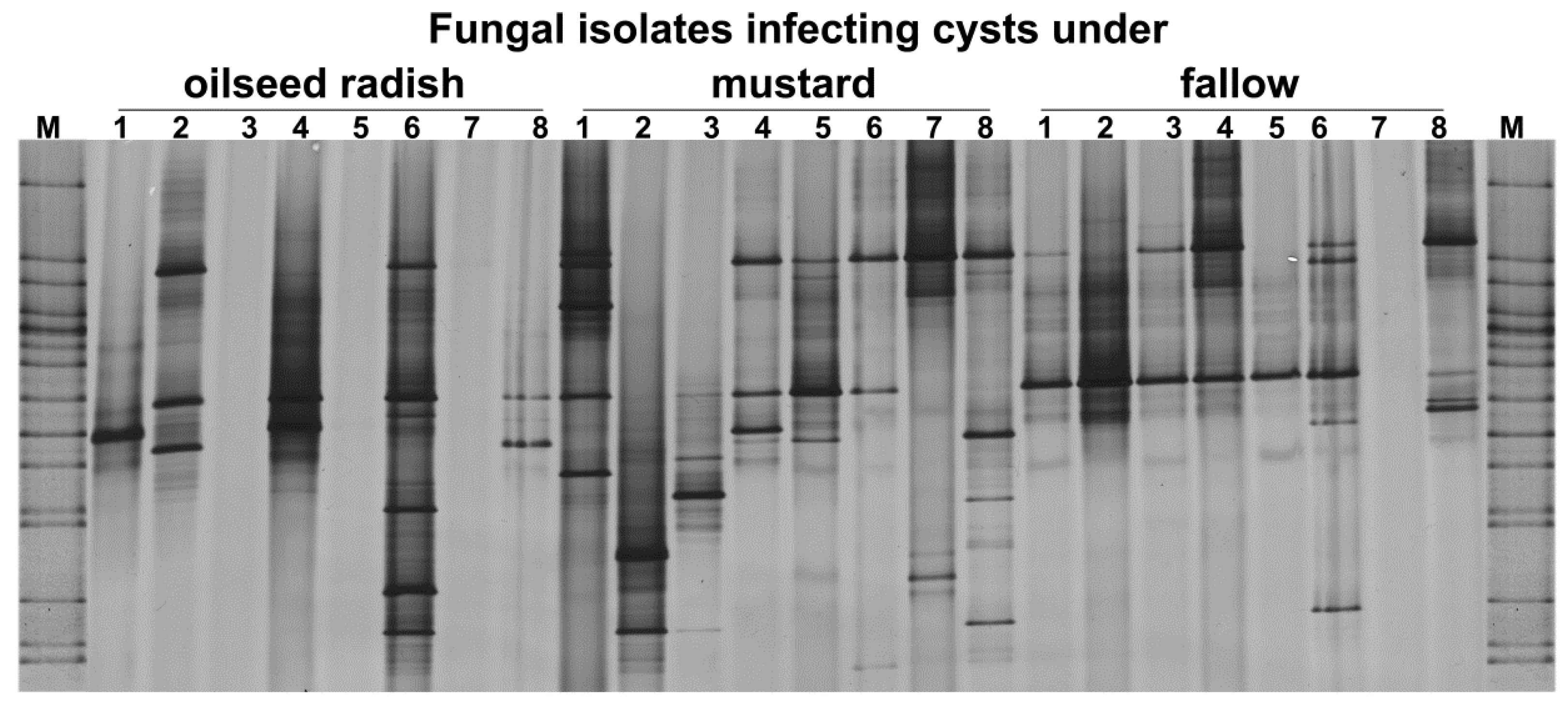 Soilsystems 03 00067 g006 Soilsystems 03 00067 g006
