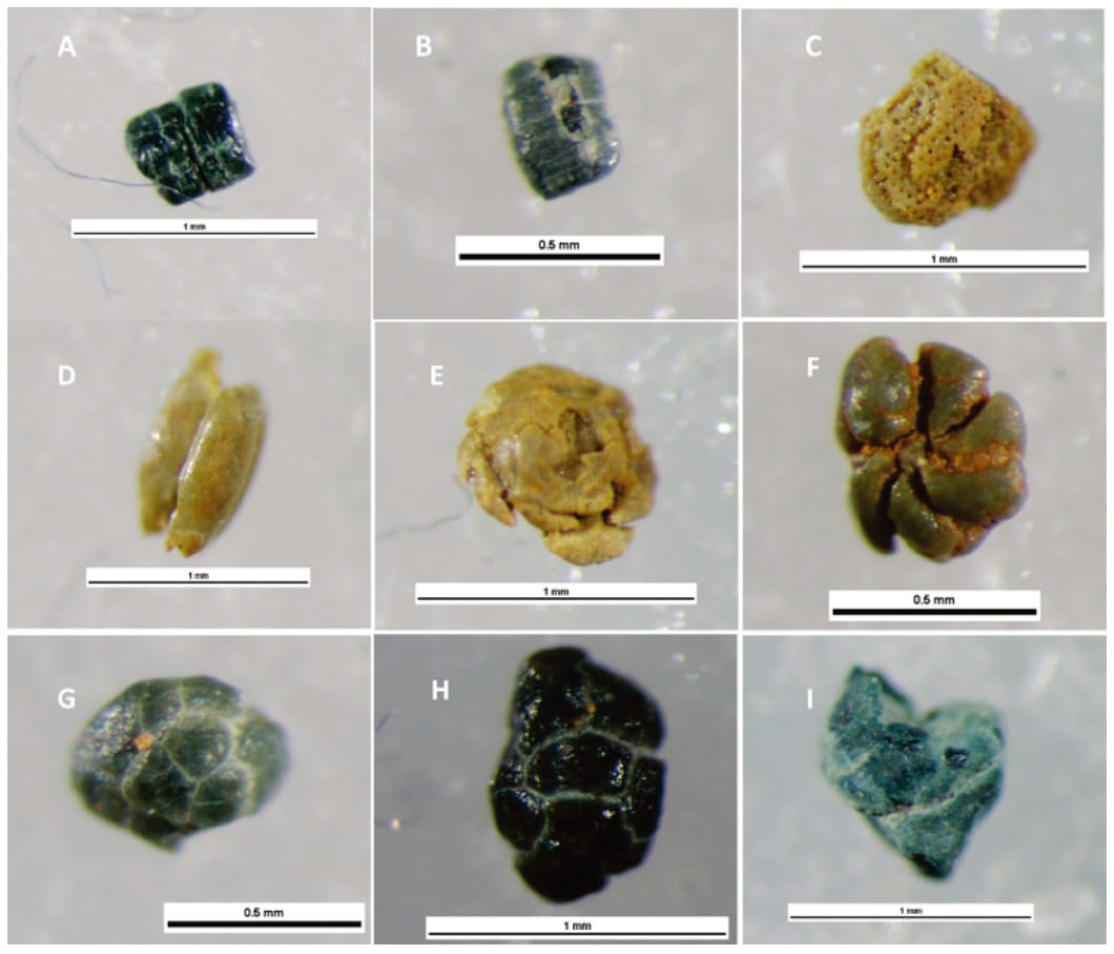 Soilsystems 03 00070 g001