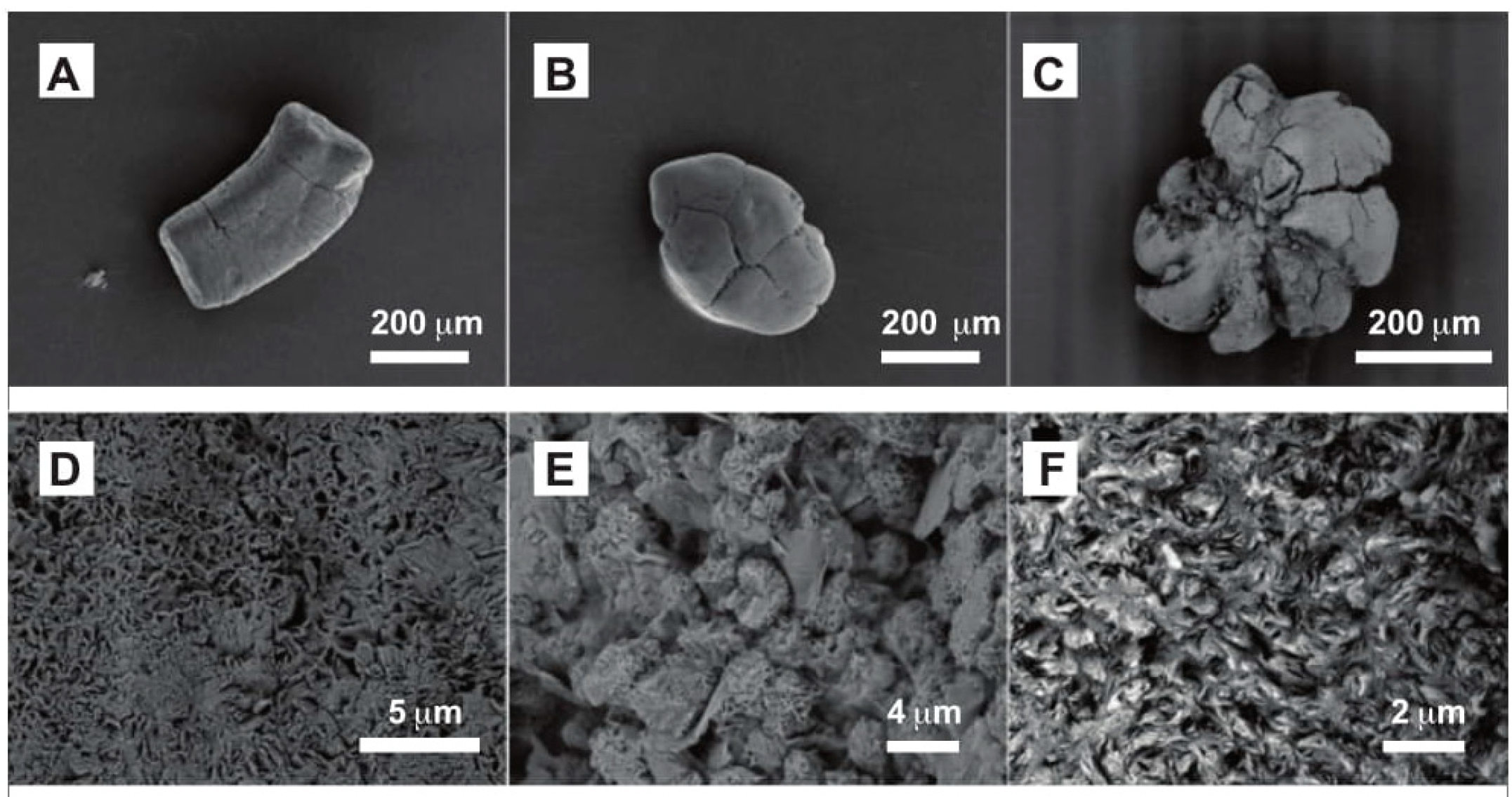 Soilsystems 03 00070 g002