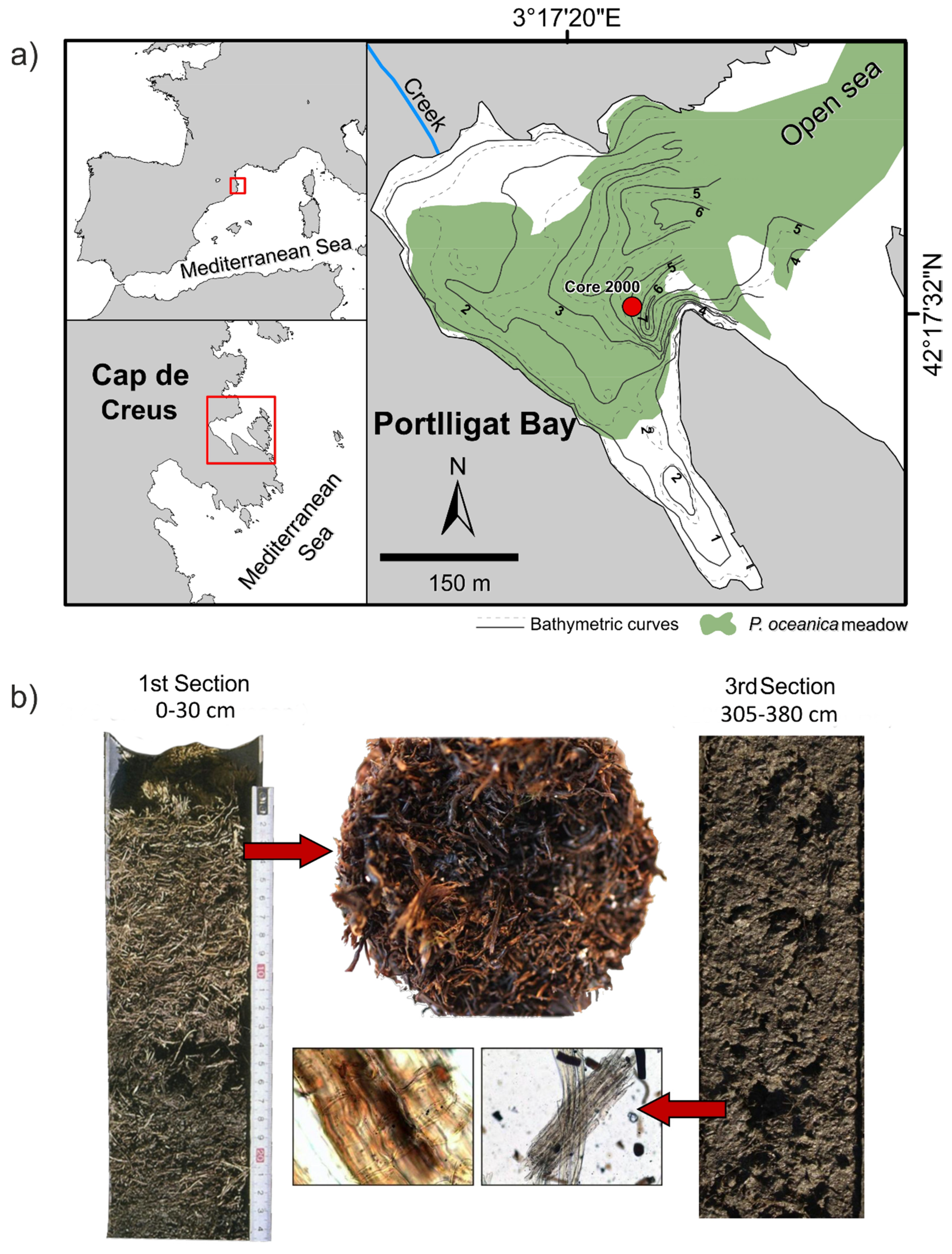 Soilsystems 04 00018 g001 Soilsystems 04 00018 g001