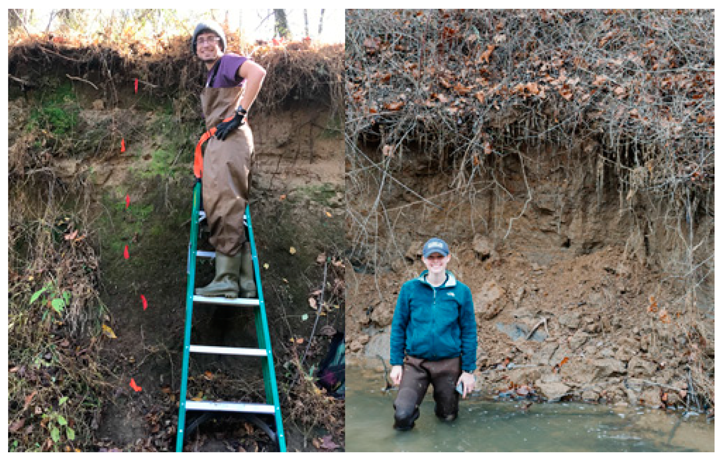 Soilsystems 04 00030 g001 Soilsystems 04 00030 g001